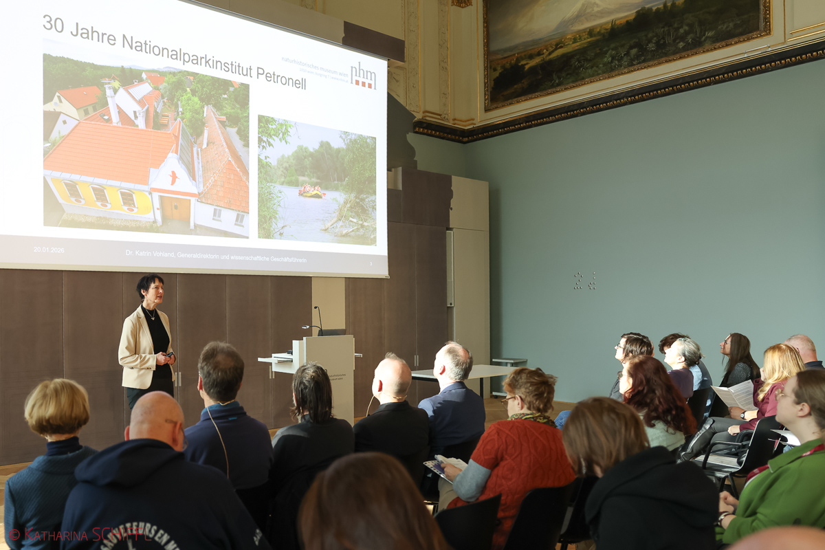 Jahrespräsentation 2026 des Naturhistorischen Museums Wien – Bild 10 von 40