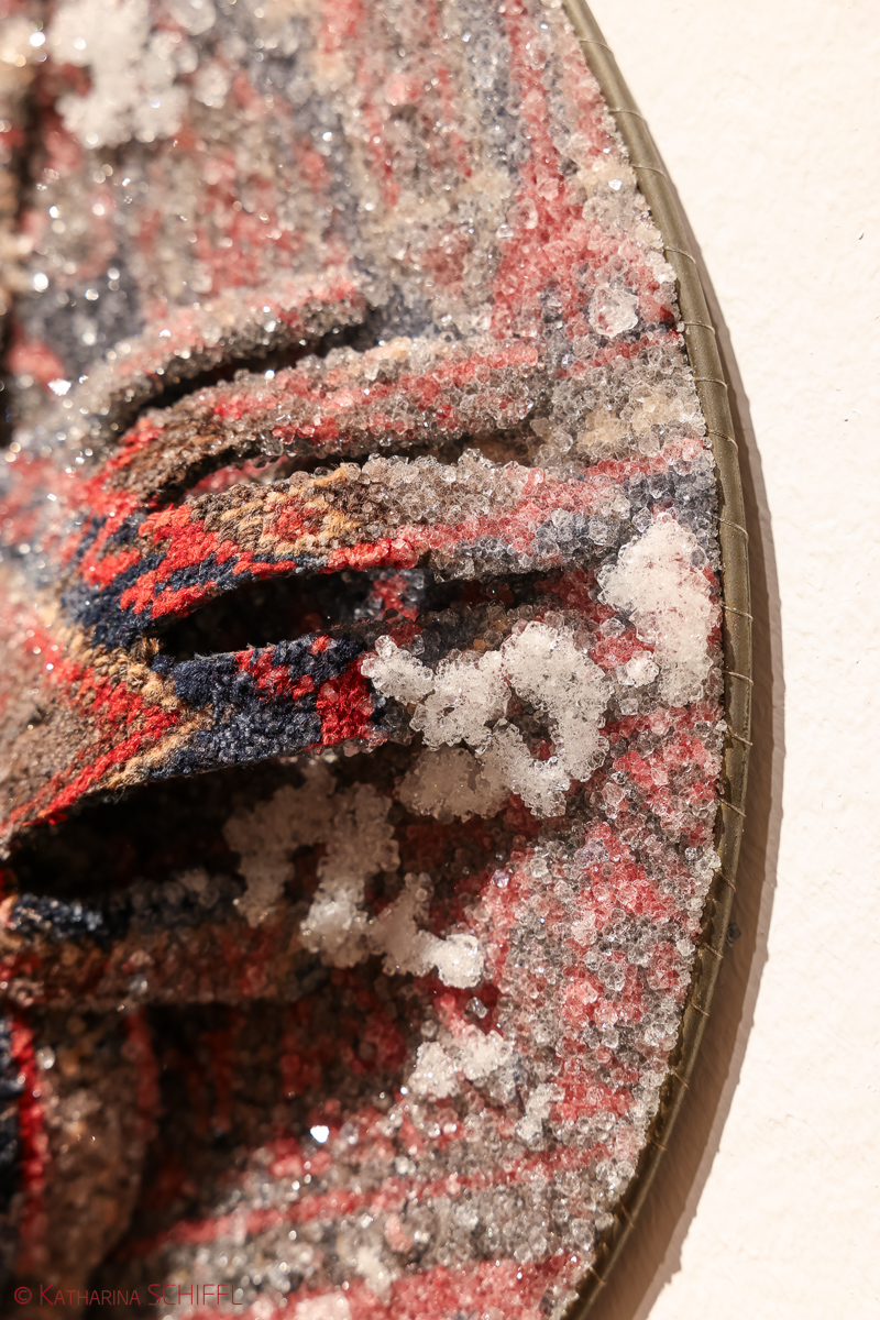 Ausstellungseröffnung „Tree of Life“  von Noushin Redjaian – Bild 21 von 81
