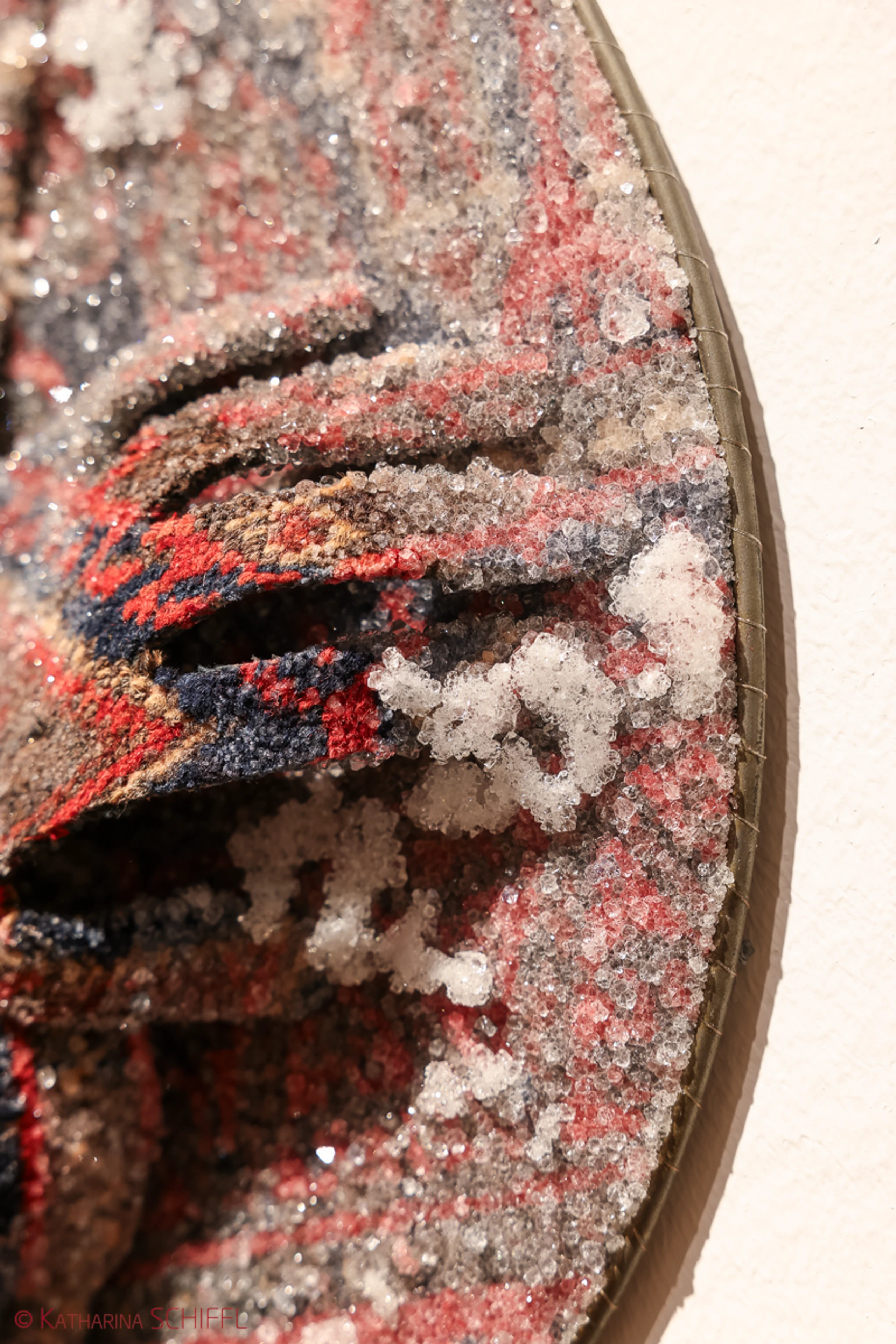Ausstellungseröffnung „Tree of Life“  von Noushin Redjaian – Bild 21 von 81