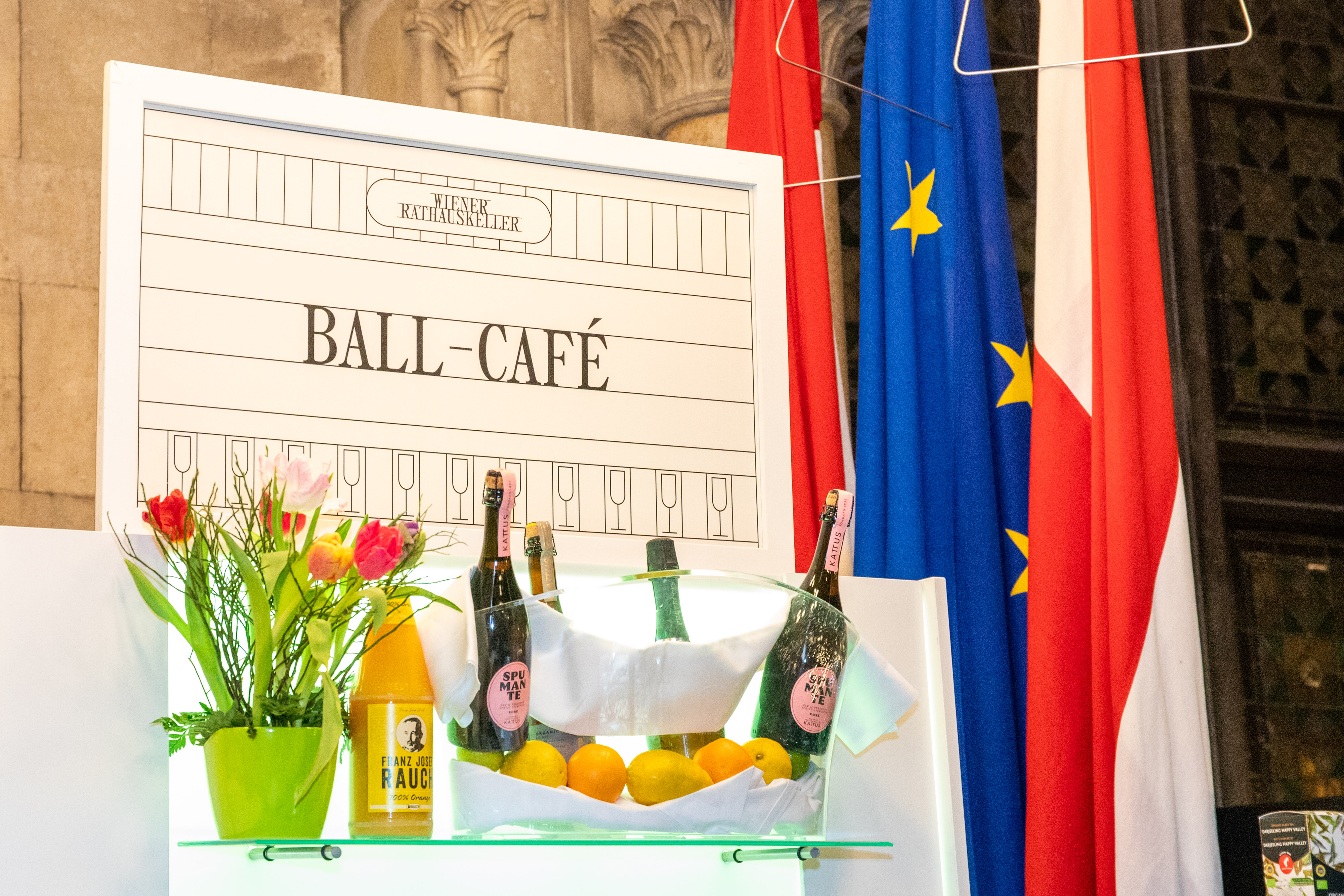 Ball der Wiener Wissenschaften 2026 – Bild 147 von 148