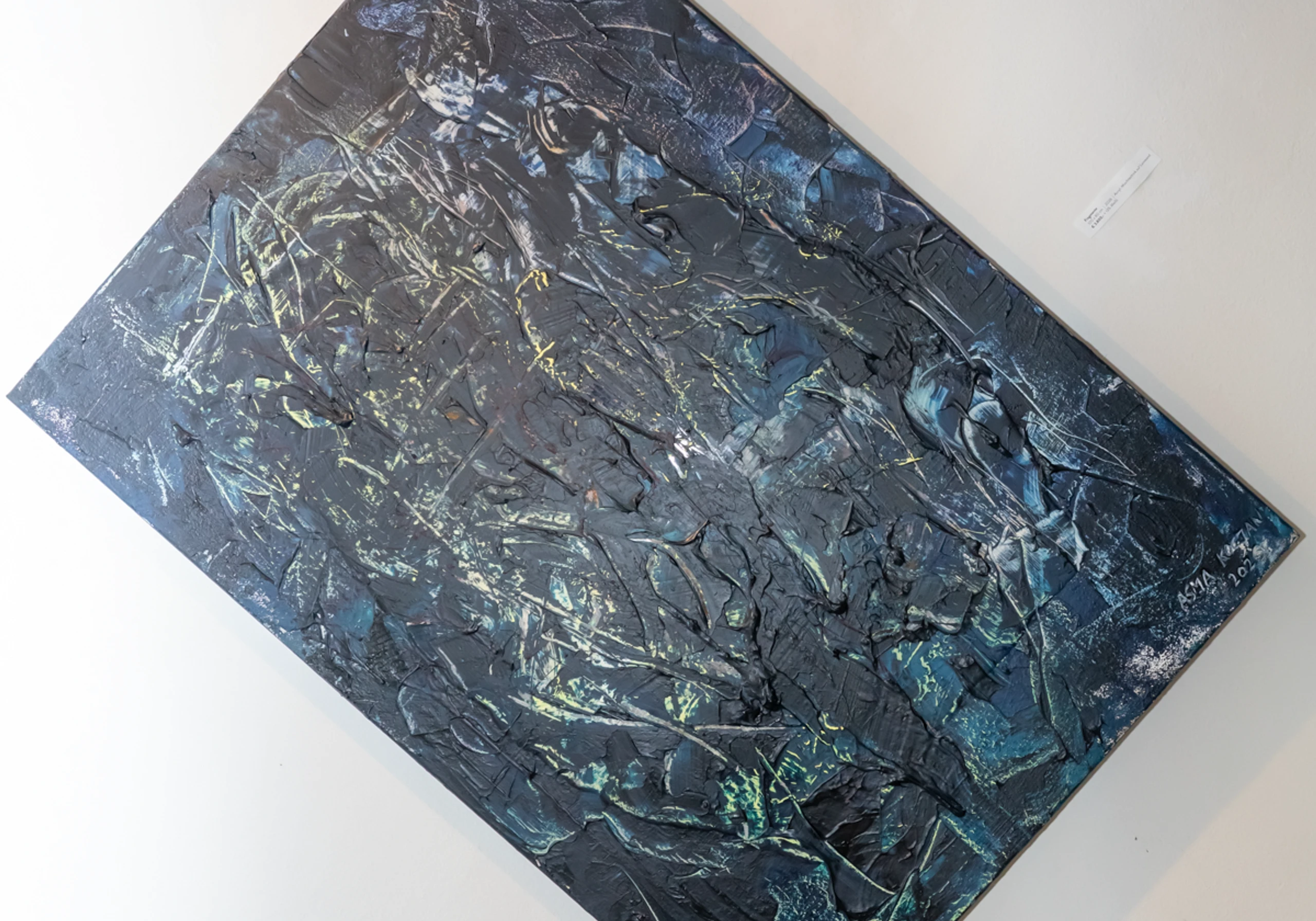 Vernissage Asma Kocjan – Bild 6 von 83