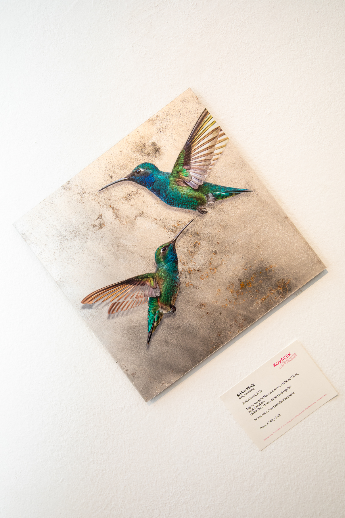 Vernissage der vielseitigen Künstlerin SABINE KÖNIG – Bild 47 von 60