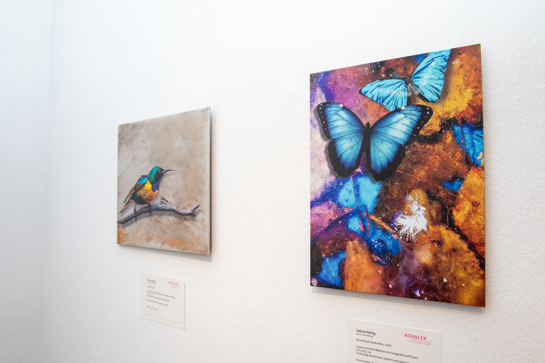 Vernissage der vielseitigen Künstlerin SABINE KÖNIG – Bild 48 von 60