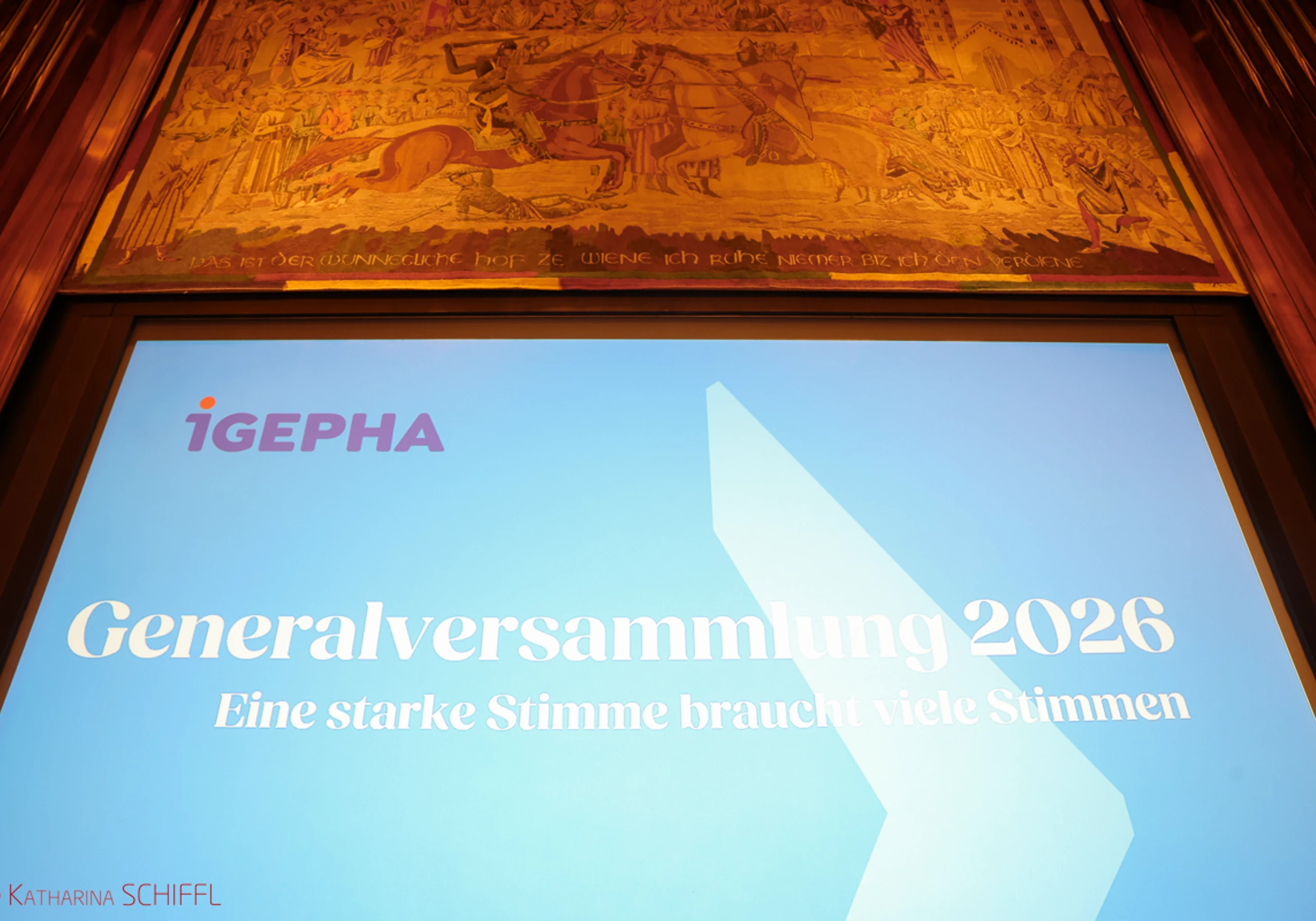 IGEPHA Jahrestagung 2026 – Bild 7 von 108