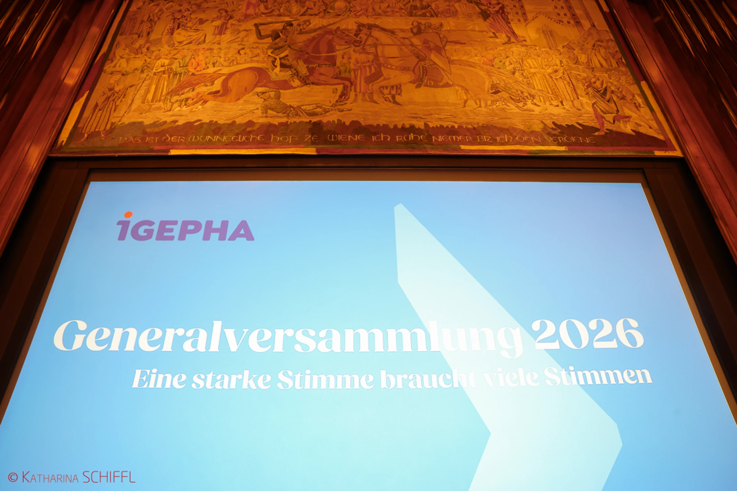 IGEPHA Jahrestagung 2026 – Bild 7 von 108