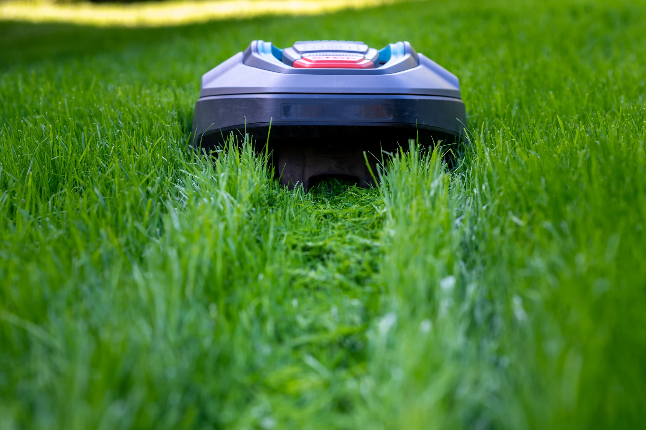 © iStockphoto.com Blurred image background