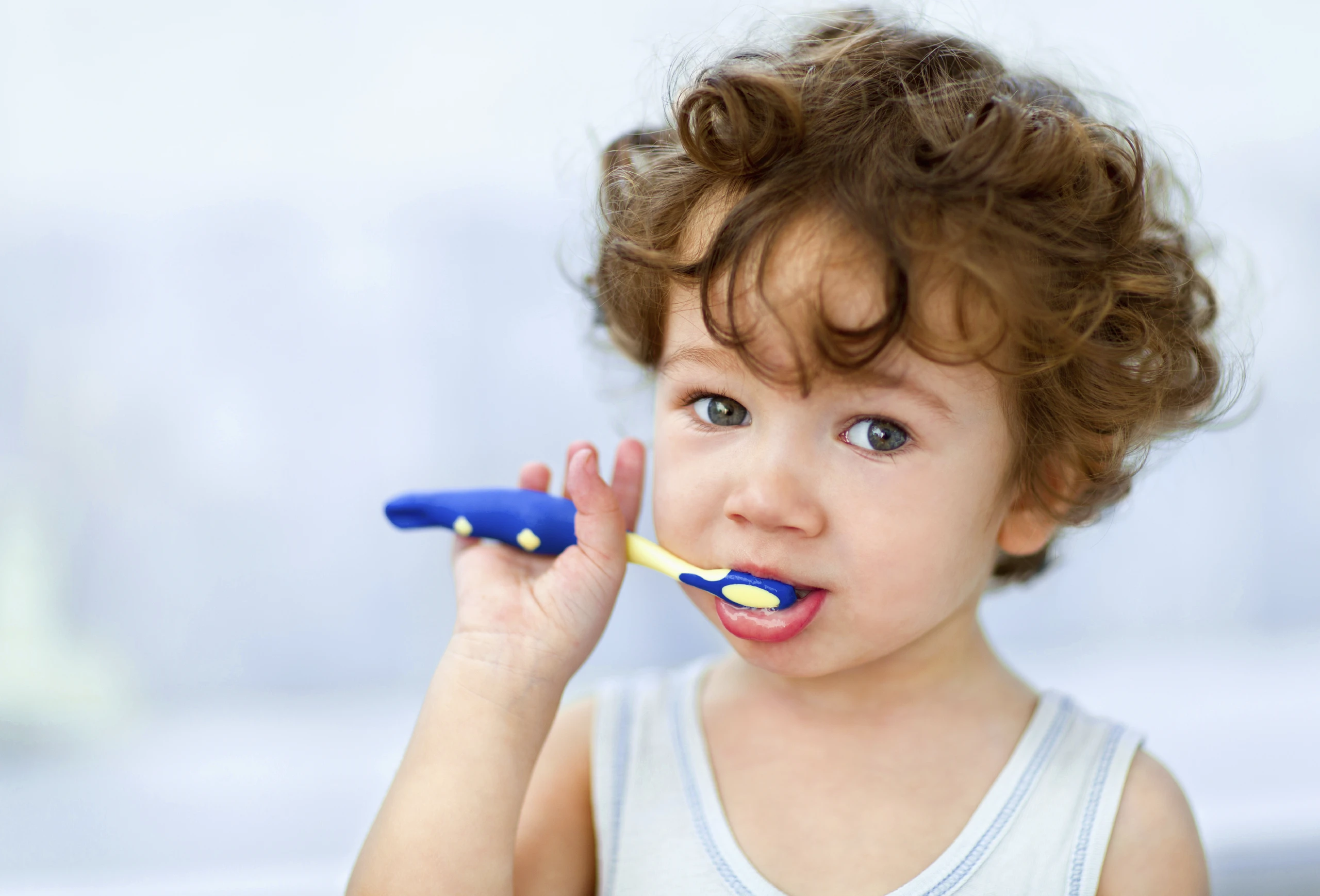 © iStockphoto.com Blurred image background