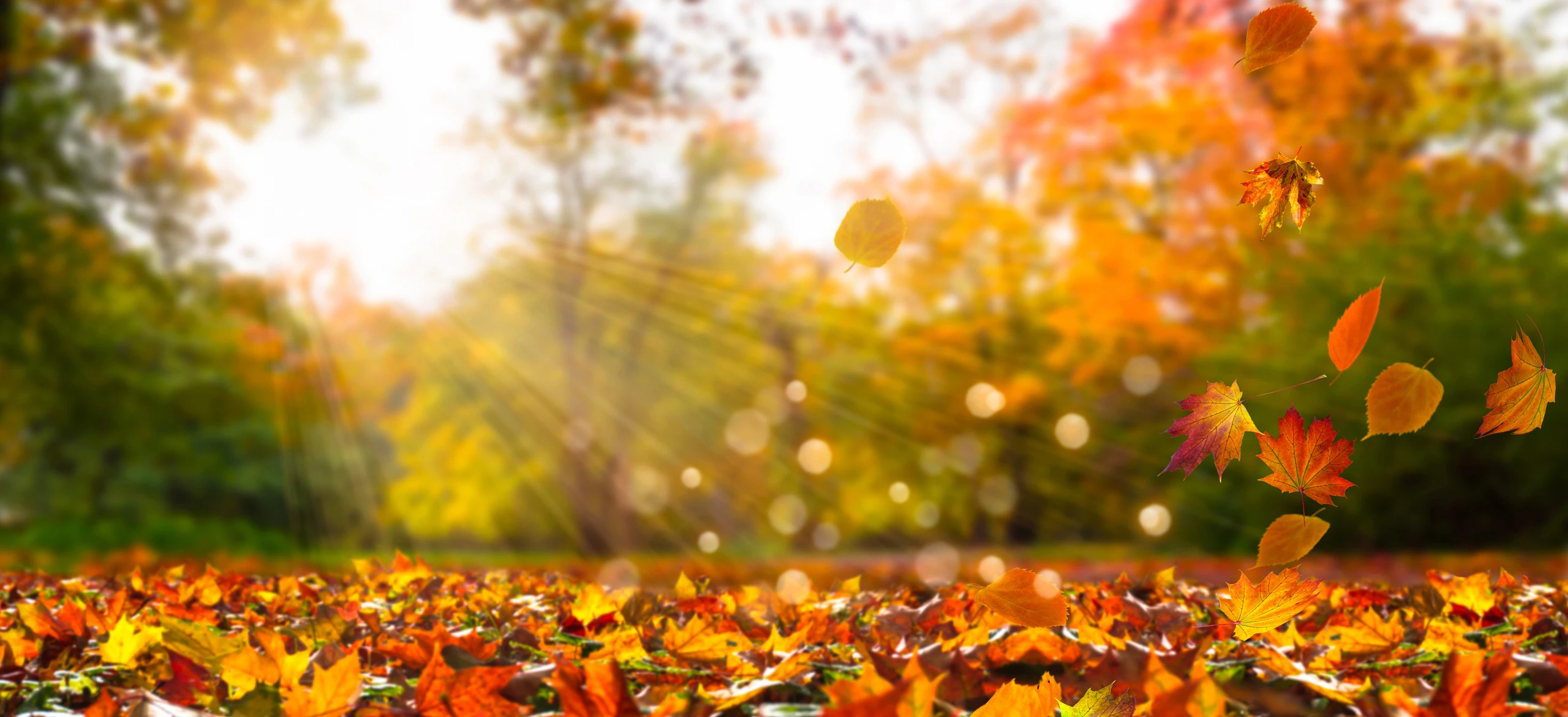 © iStockphoto.com Blurred image background