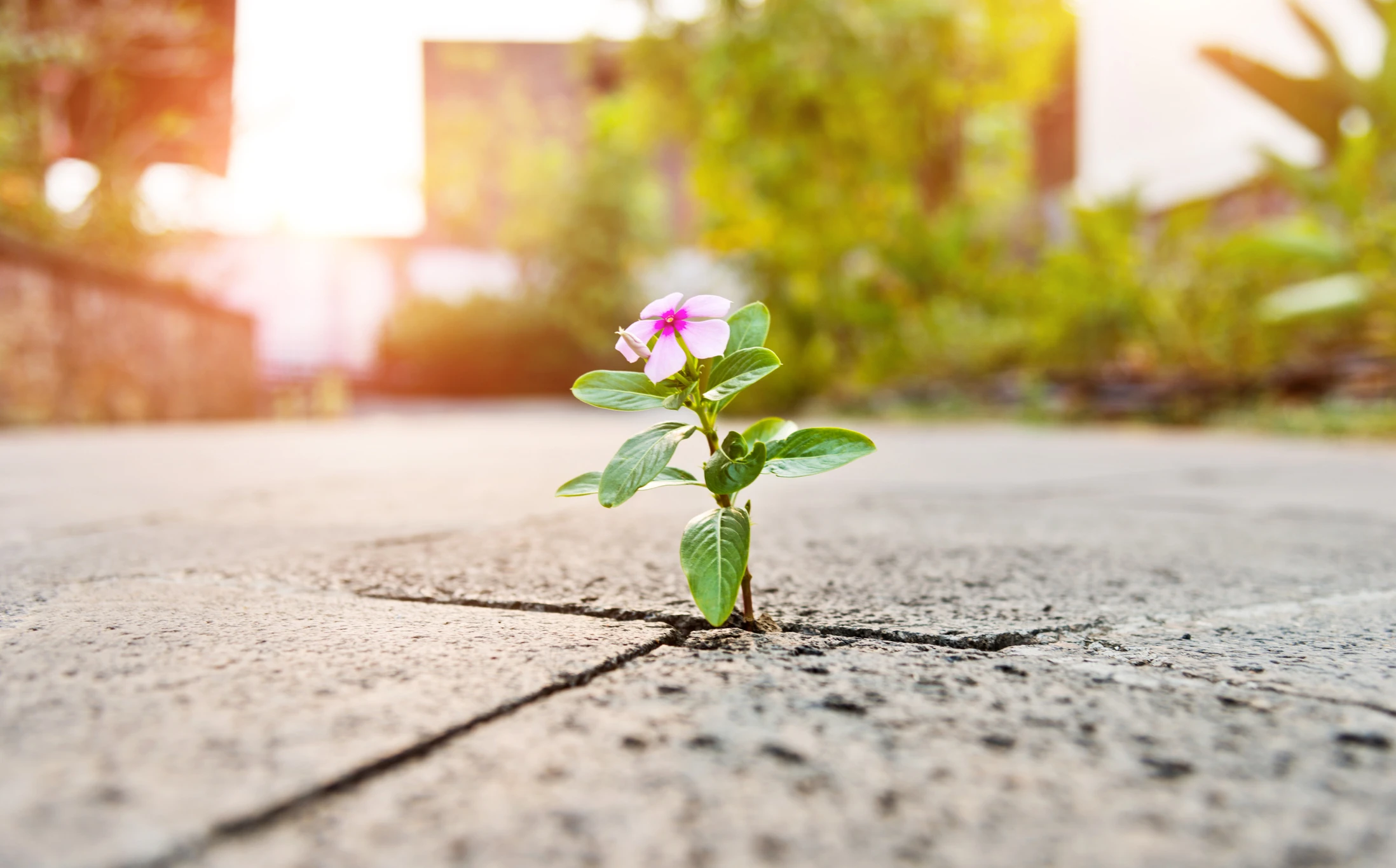 © iStockphoto.com Blurred image background