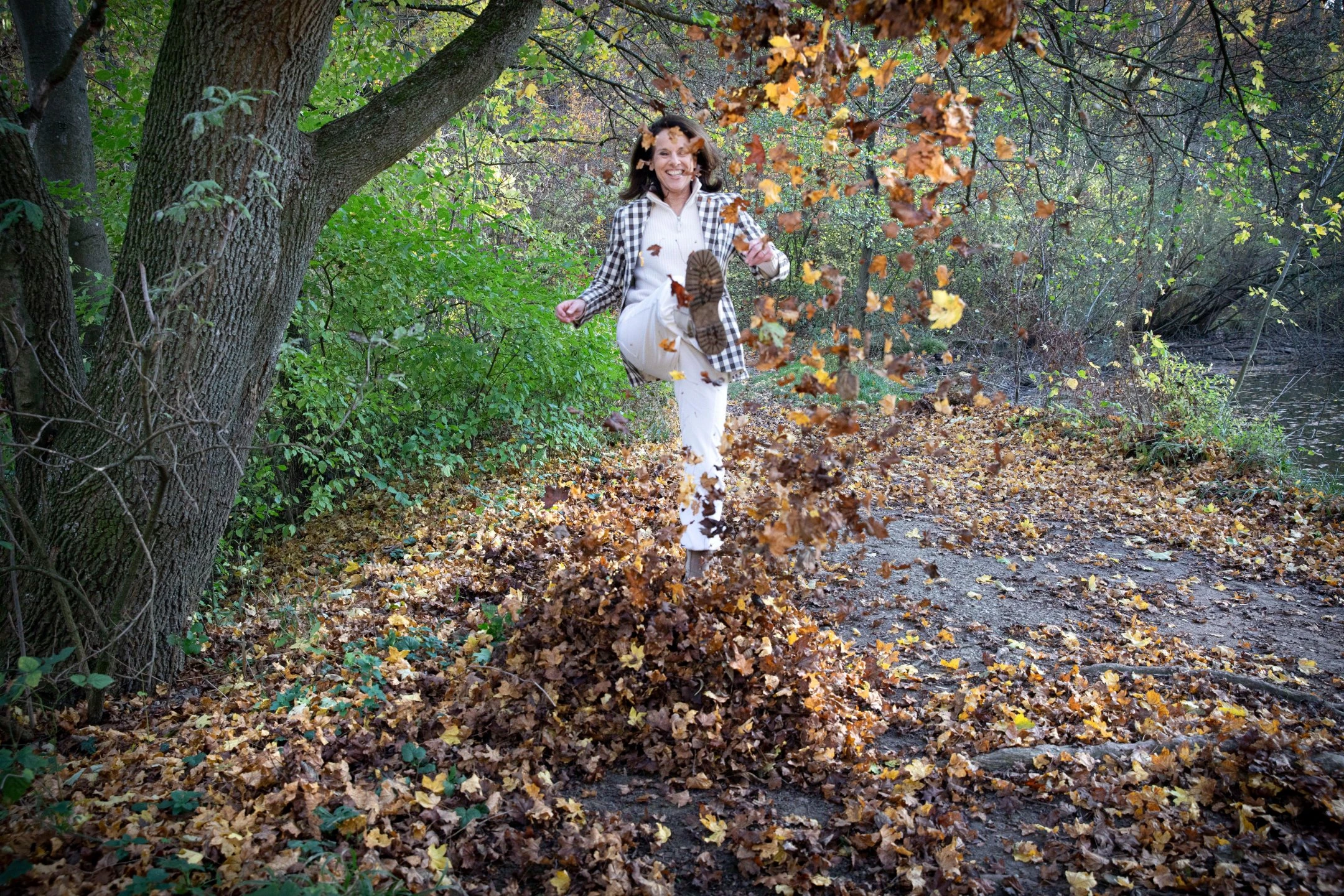 © Elke Mayr Blurred image background