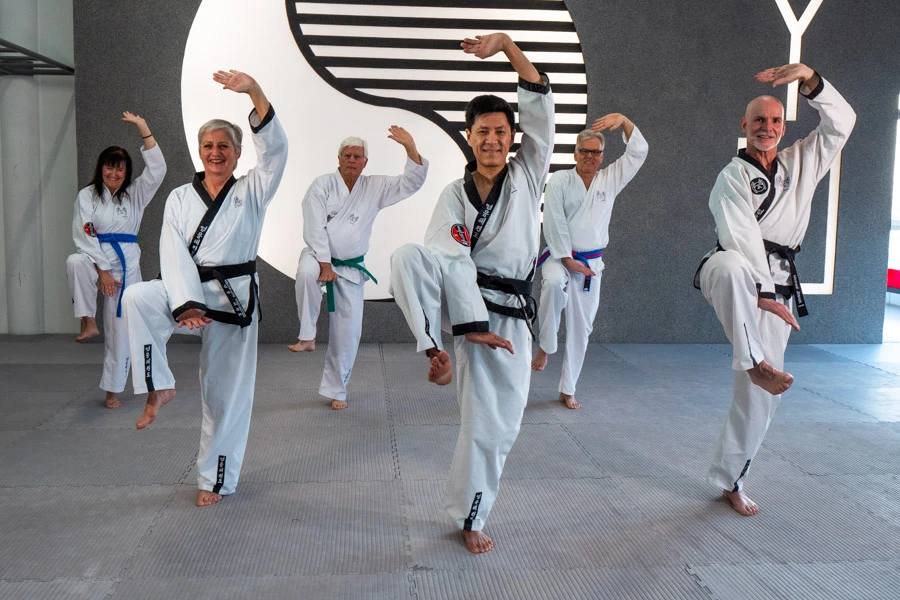 © YU-Taekwondo Blurred image background