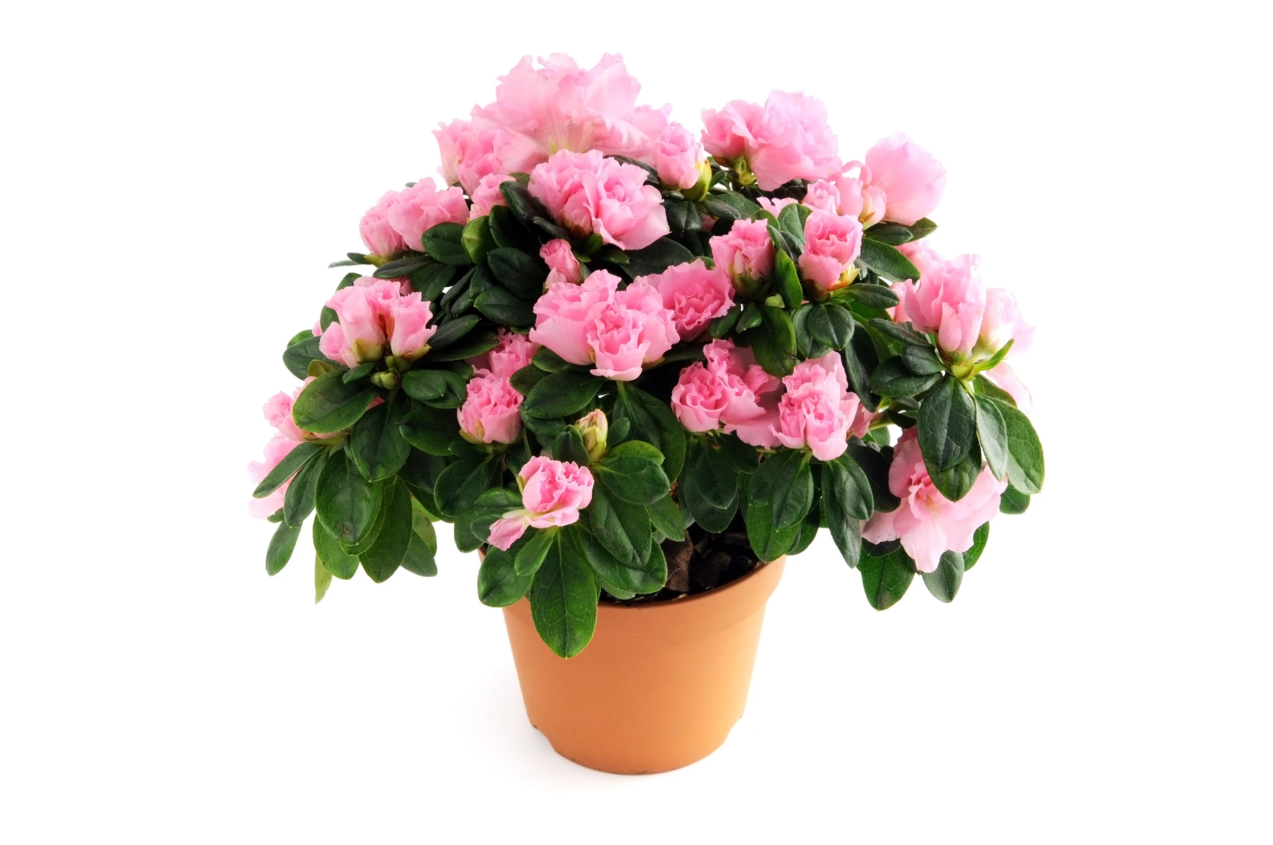 © iStockphoto.com Blurred image background