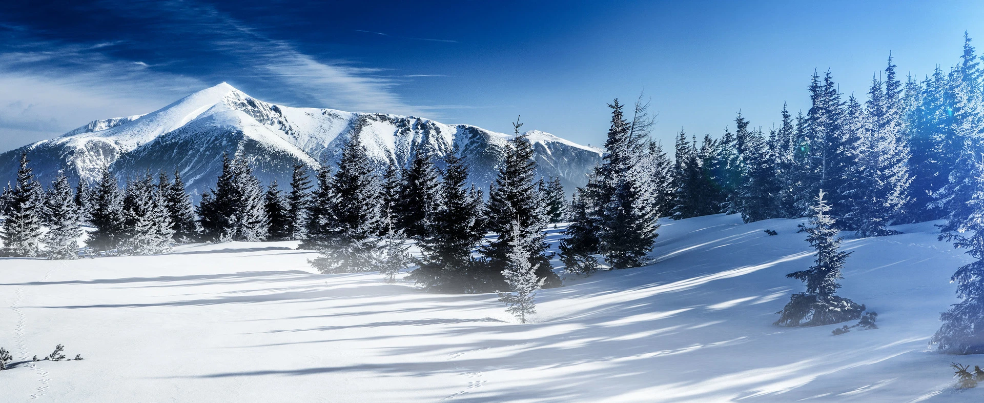 Blurred image background