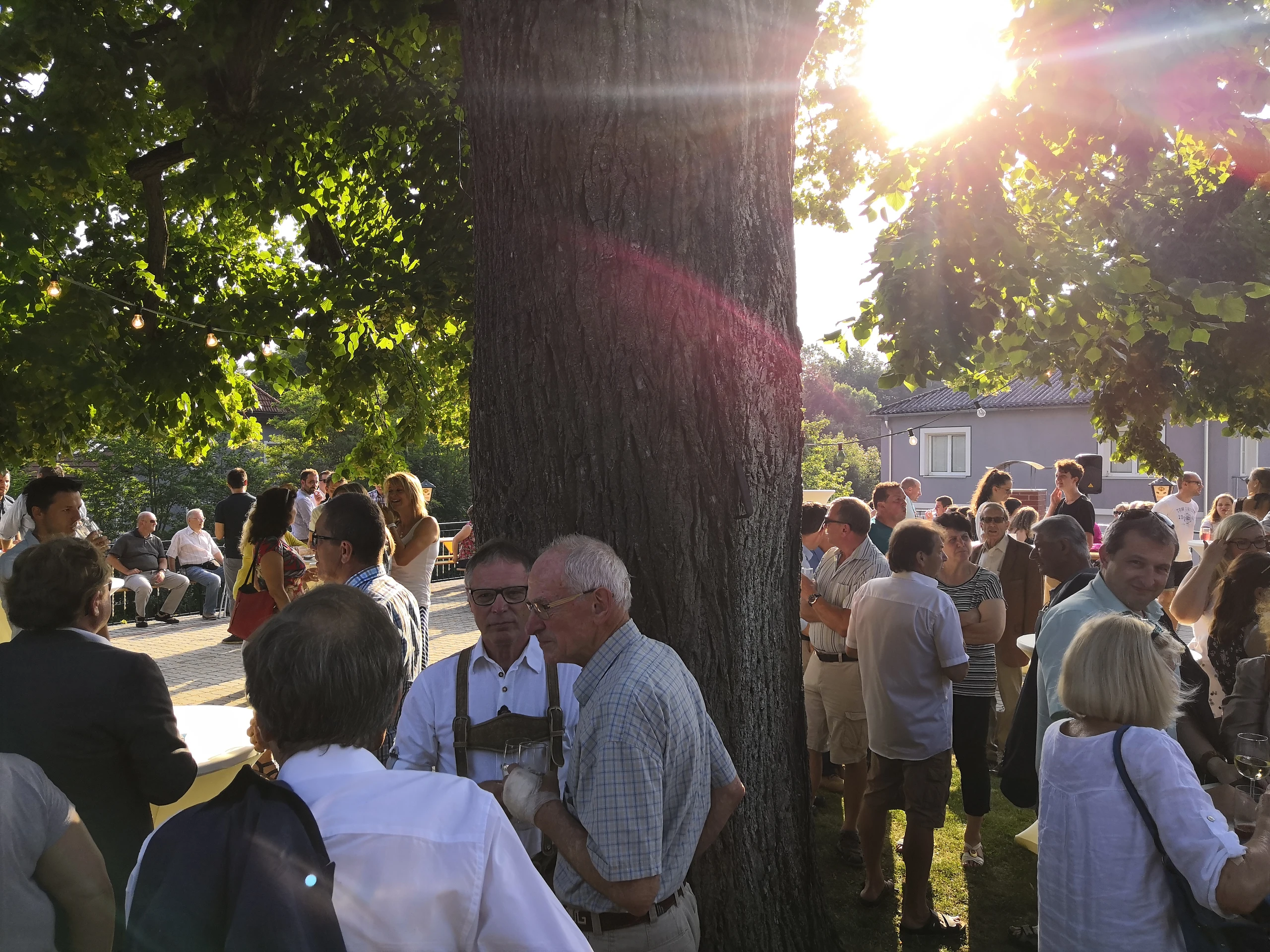 Blurred image background