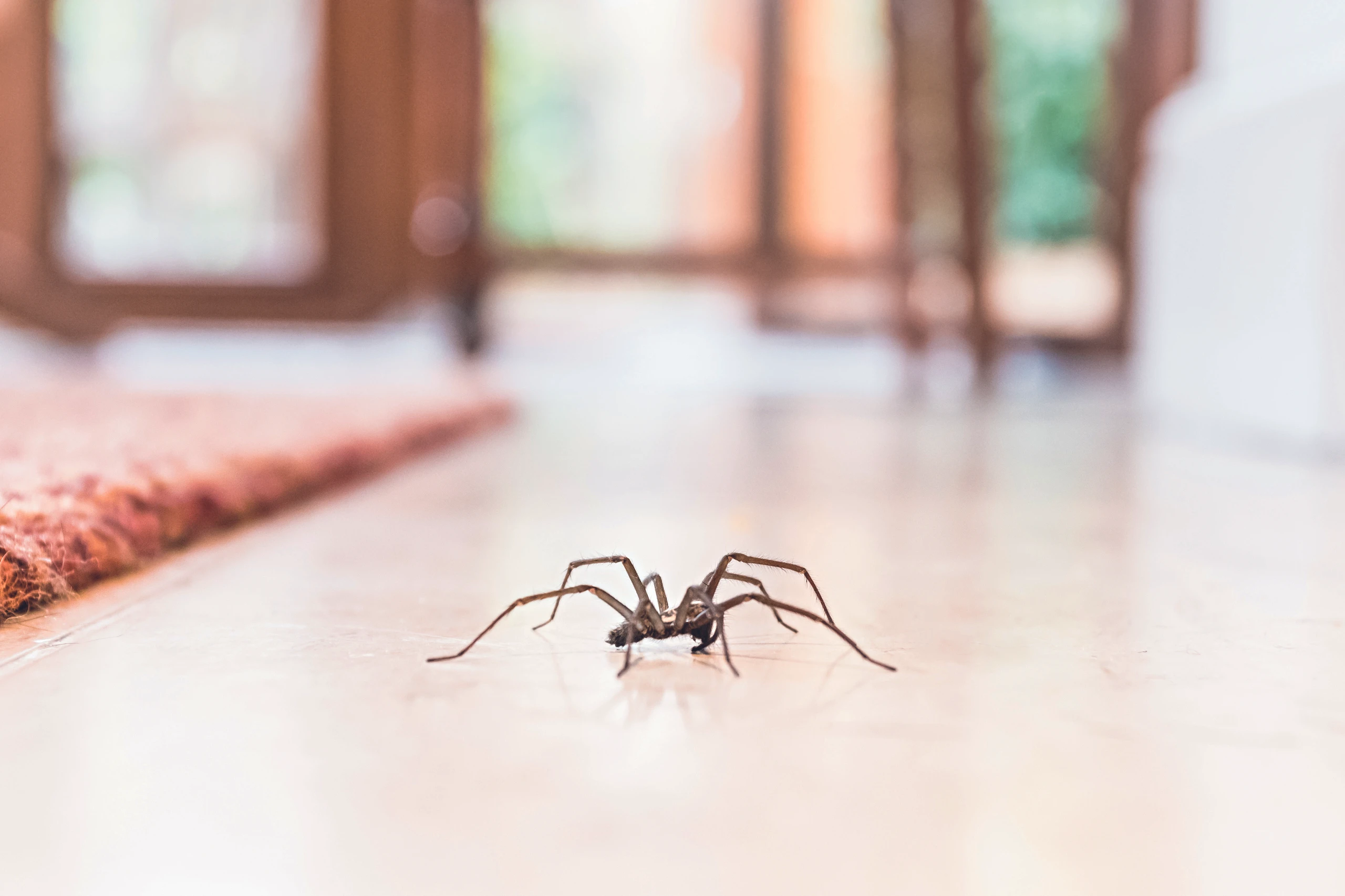 © iStockphoto.com Blurred image background