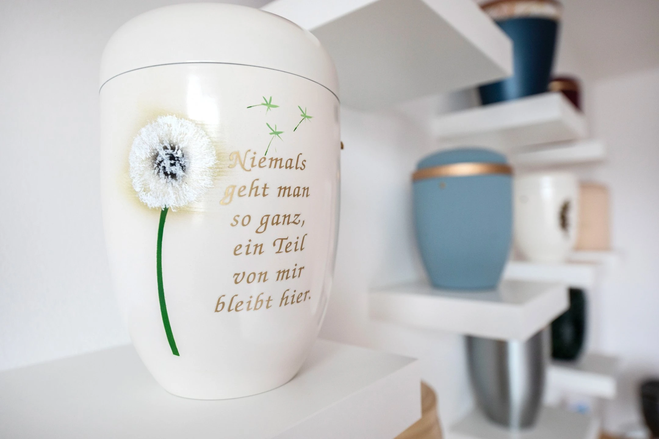 © Elke Mayr Blurred image background