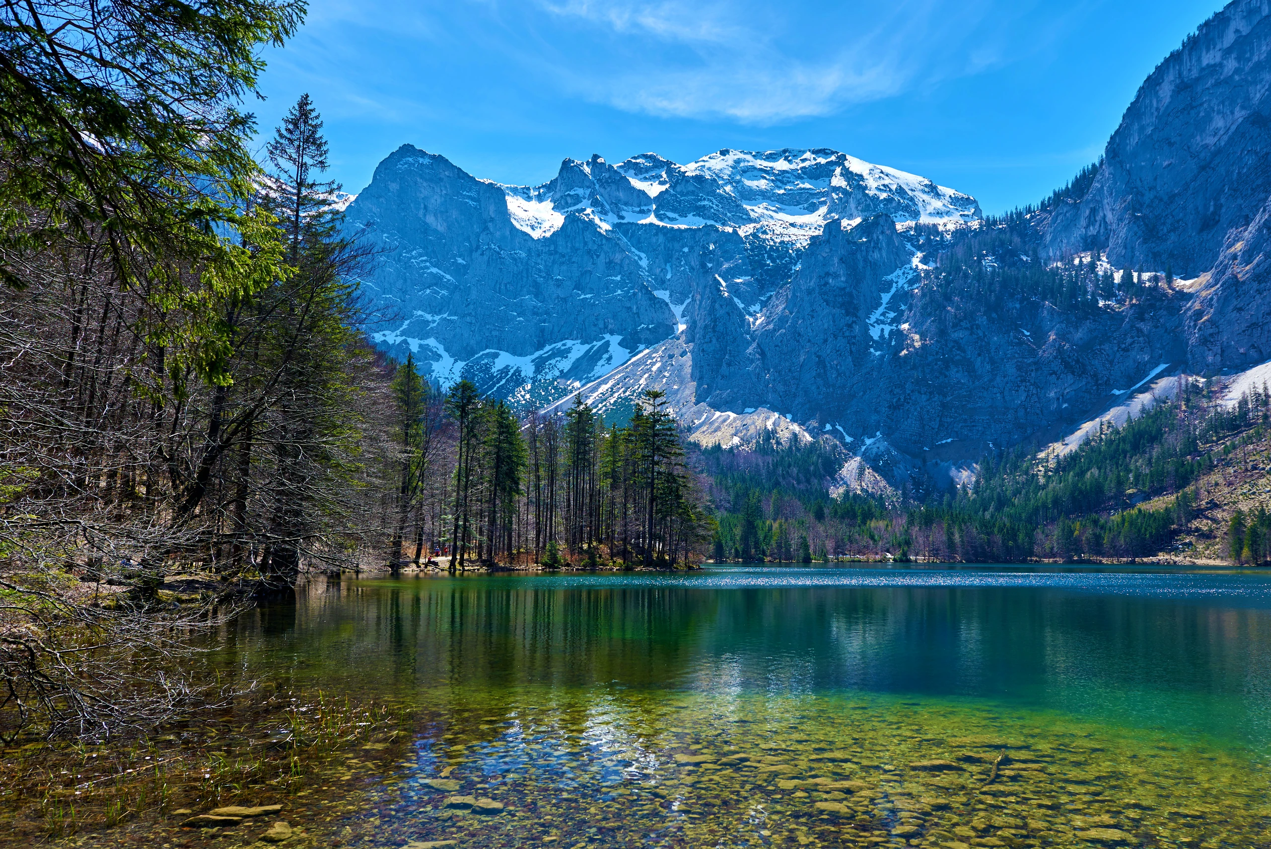 © Trambitski/Shutterstock.com Blurred image background