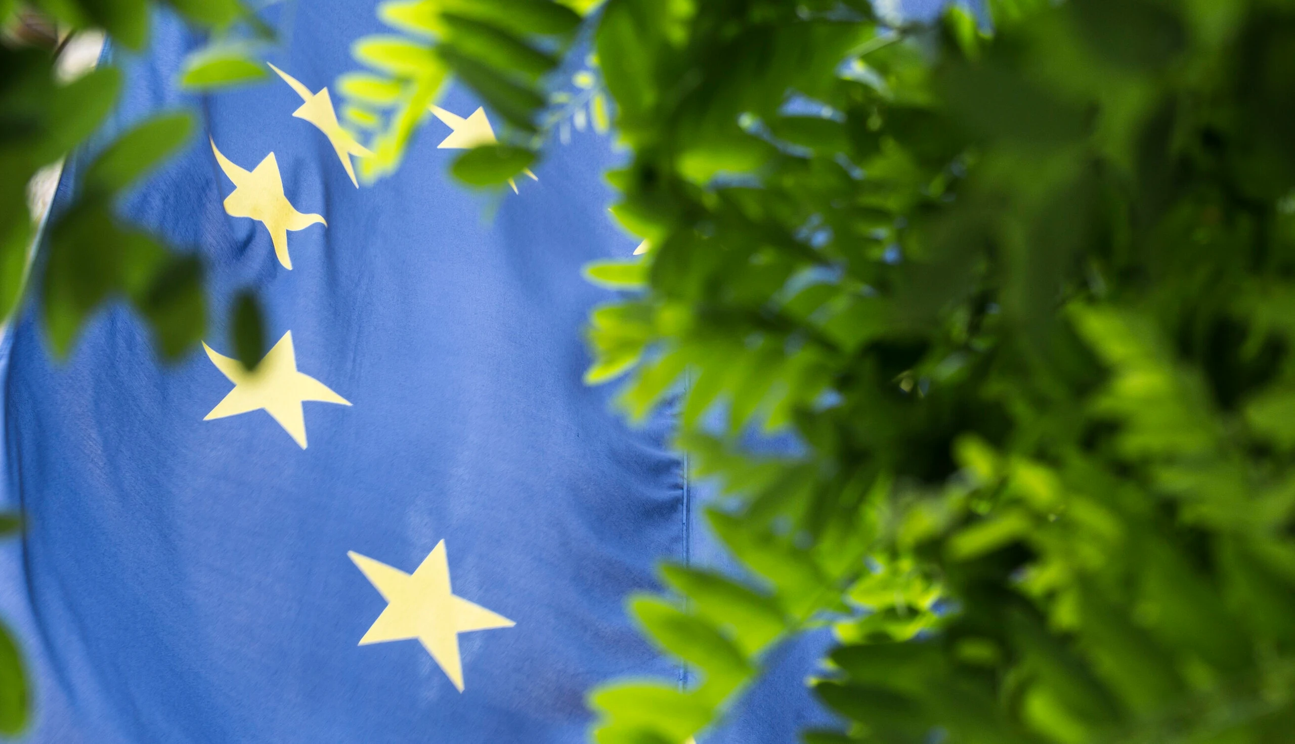 Grünes Europa