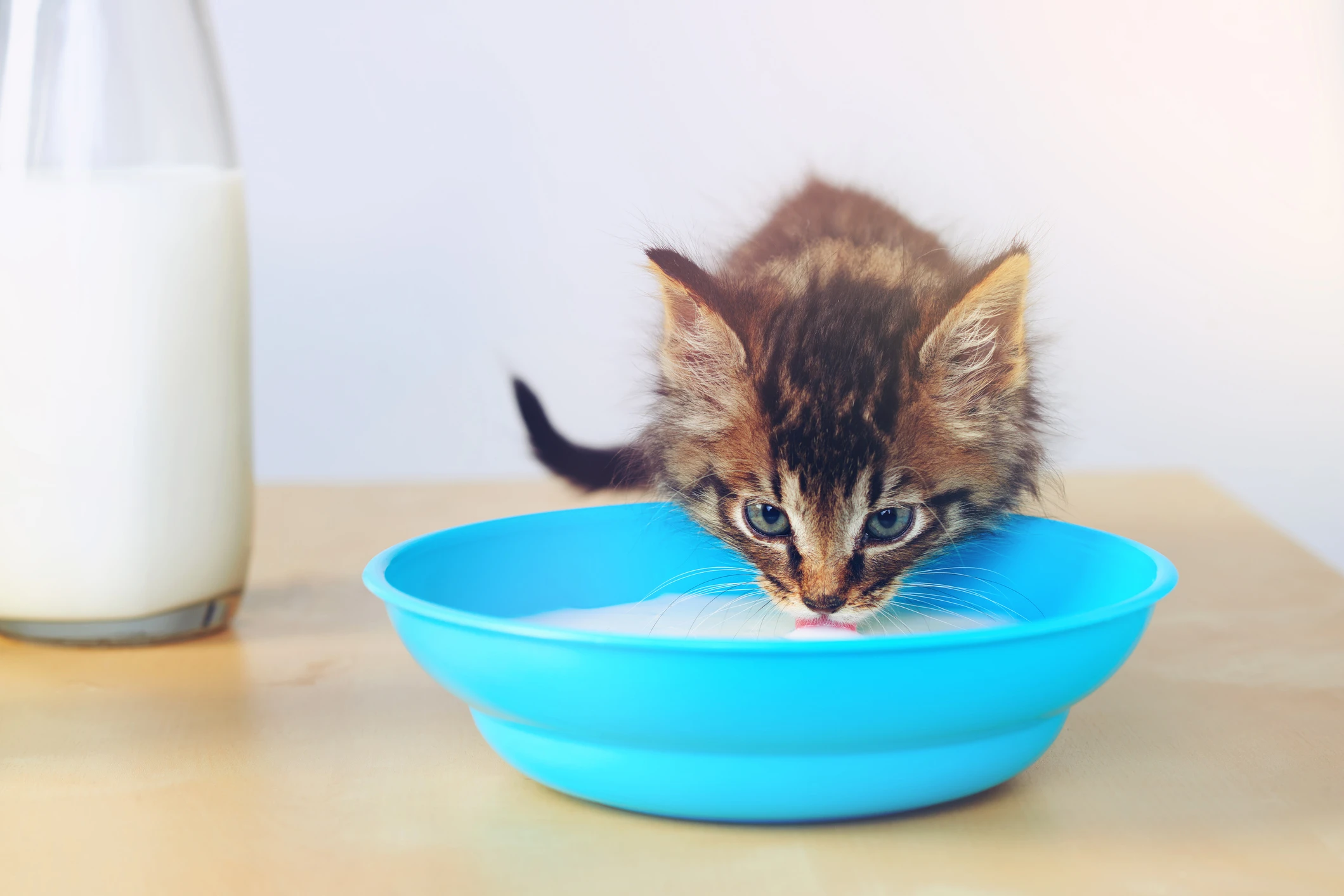 © iStockphoto.com Blurred image background