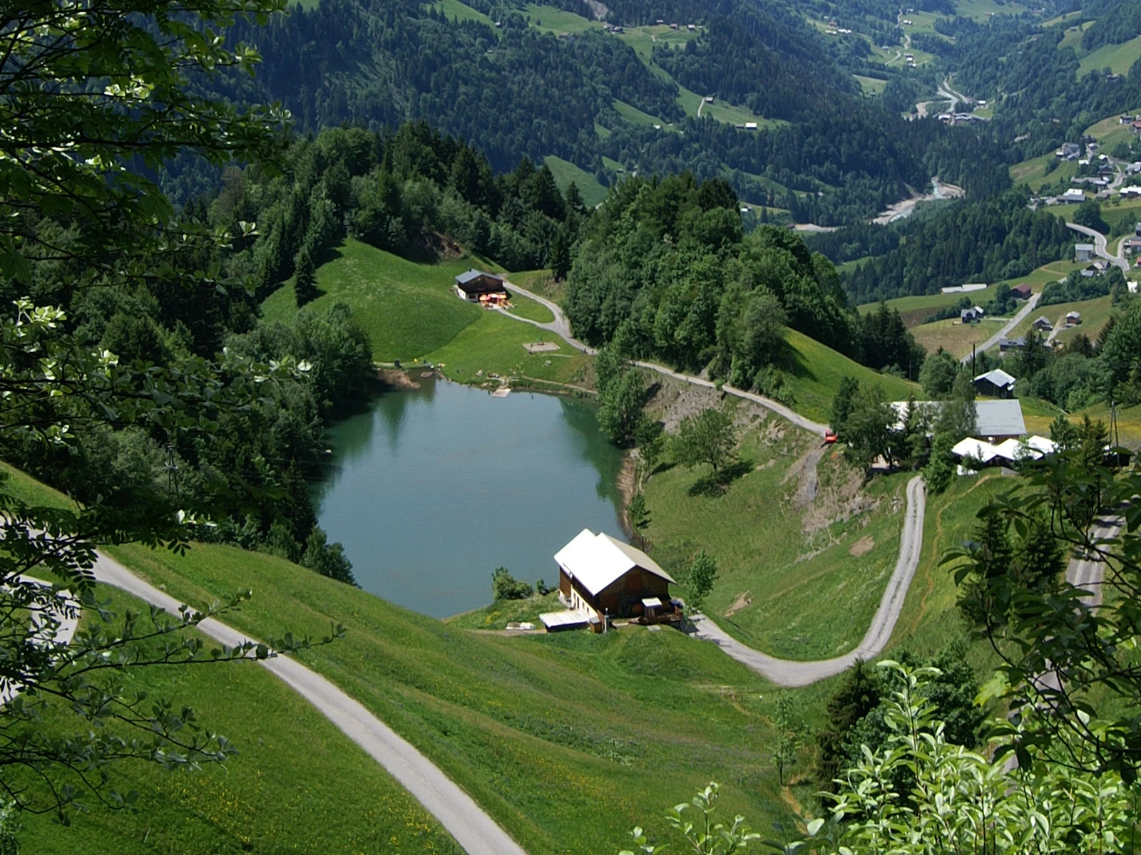 © Böhringer Friedrich/Wikimedia Blurred image background
