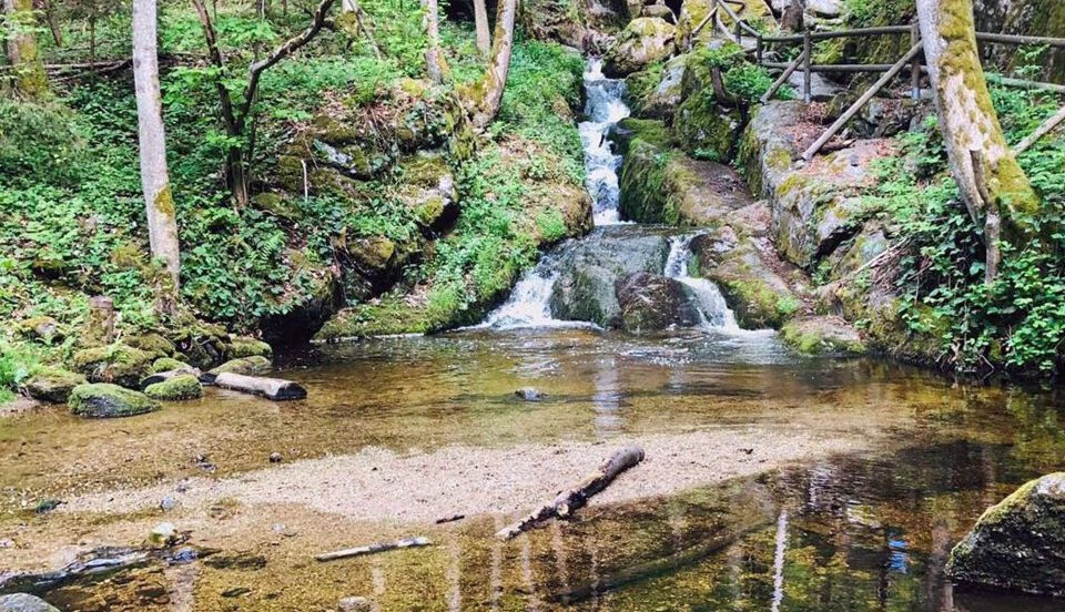 Die Ysperklamm bietet tolle Naturschauspiele mit Wasserfällen & Kaskaden.
