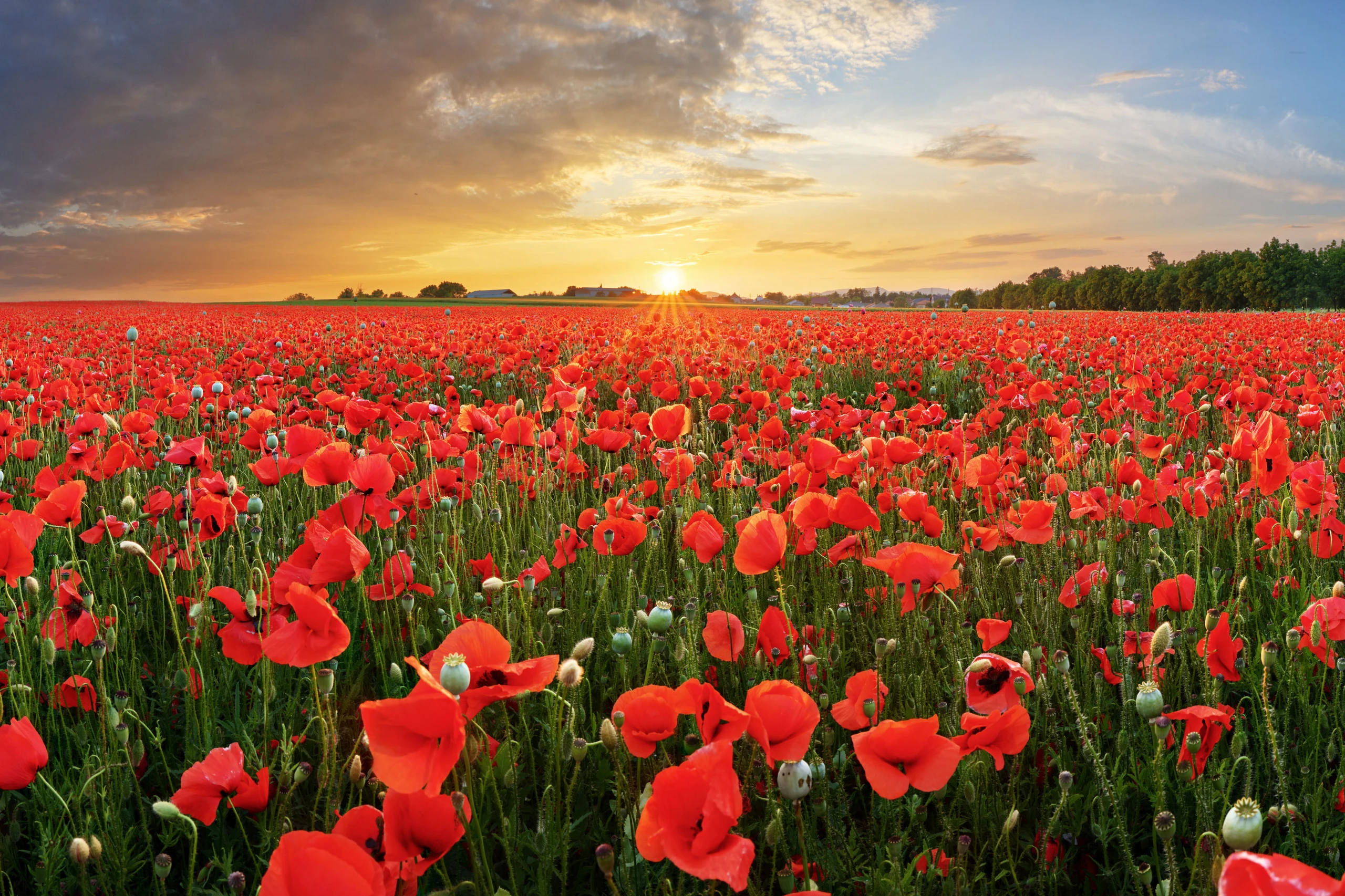 © Shutterstock.com Blurred image background