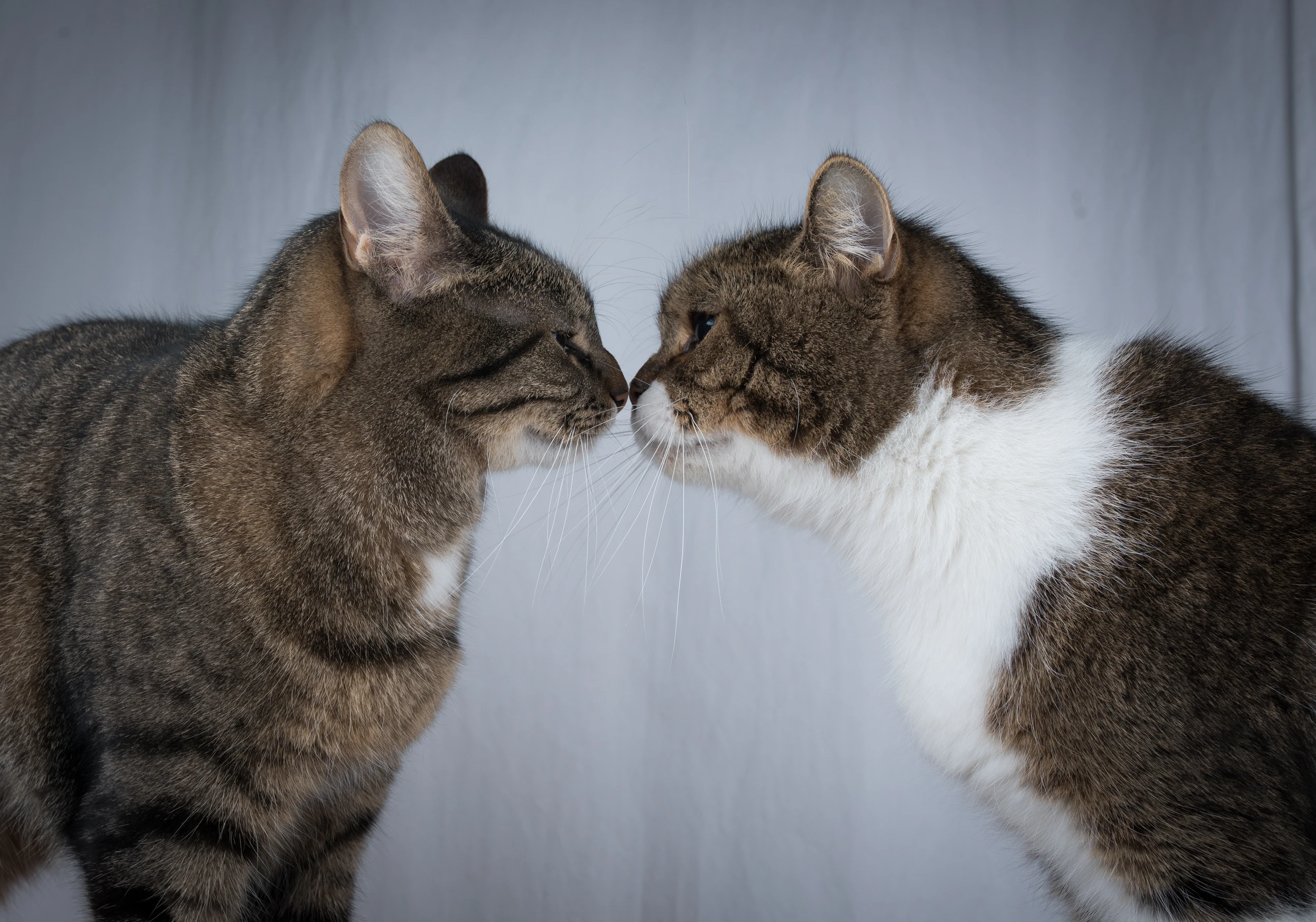 © iStockphoto.com Blurred image background