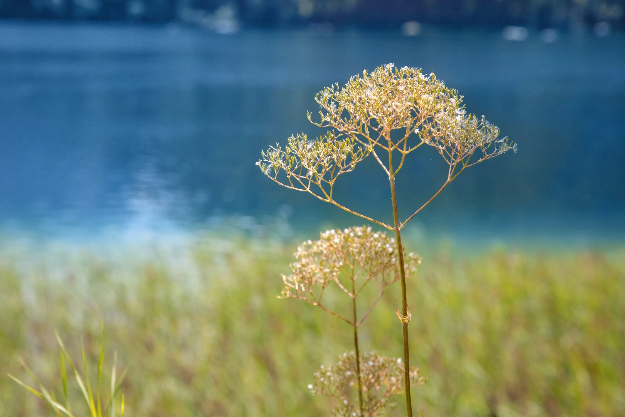 © Elke Mayr Blurred image background
