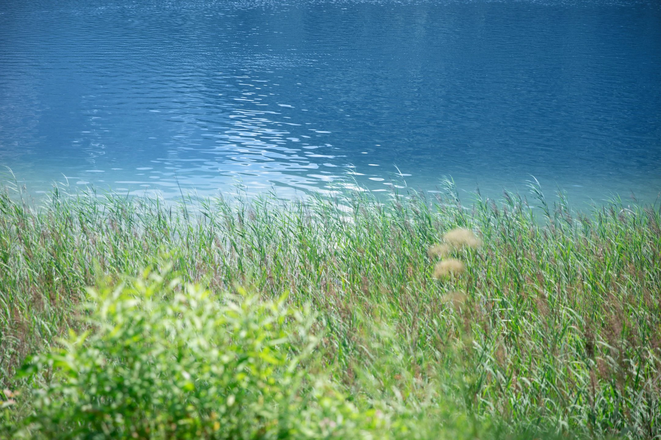 © Elke Mayr Blurred image background