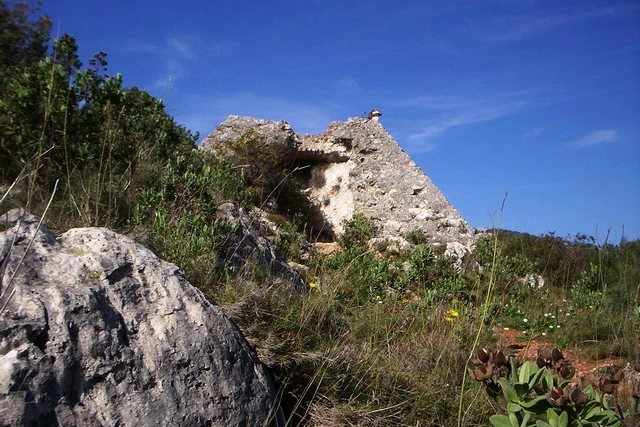 © Baskerville via Wikipedia Blurred image background