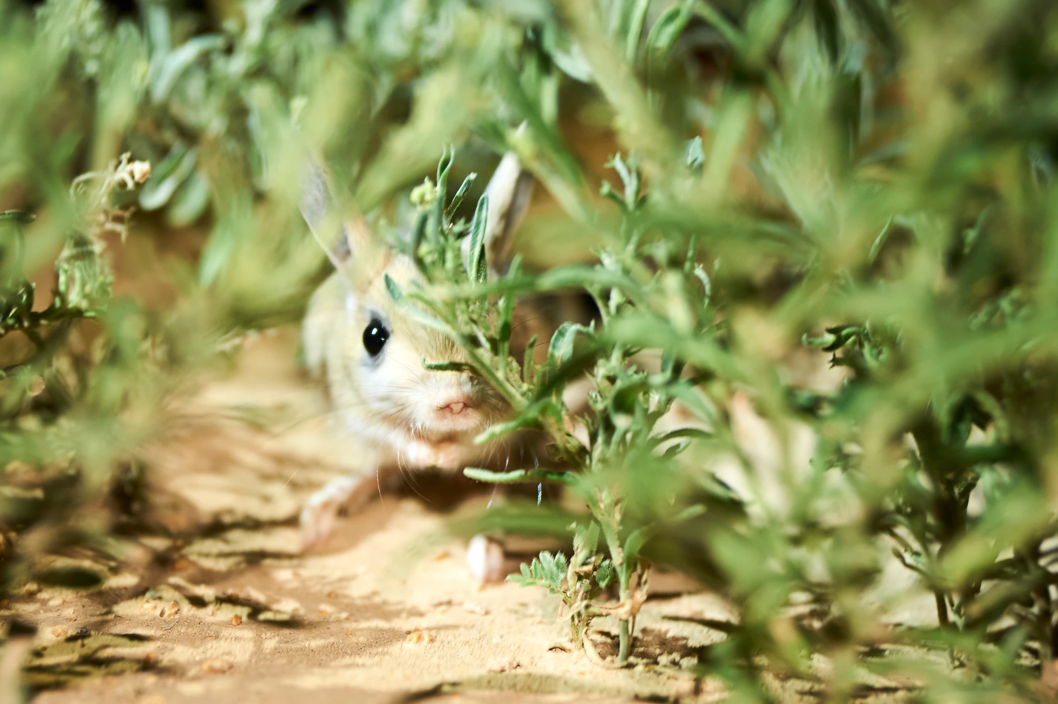 © iStockphoto.com Blurred image background