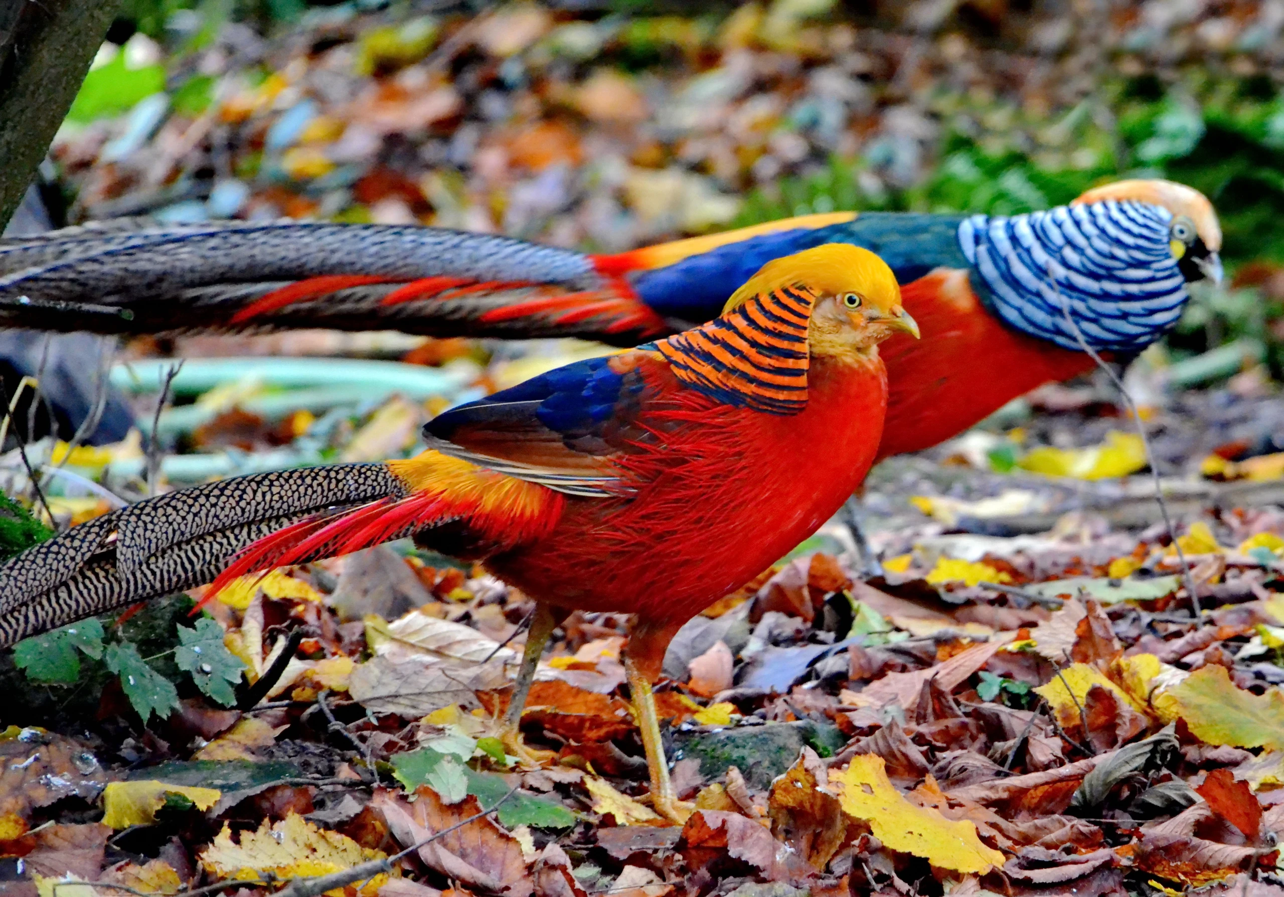 © Shutterstock.com Blurred image background