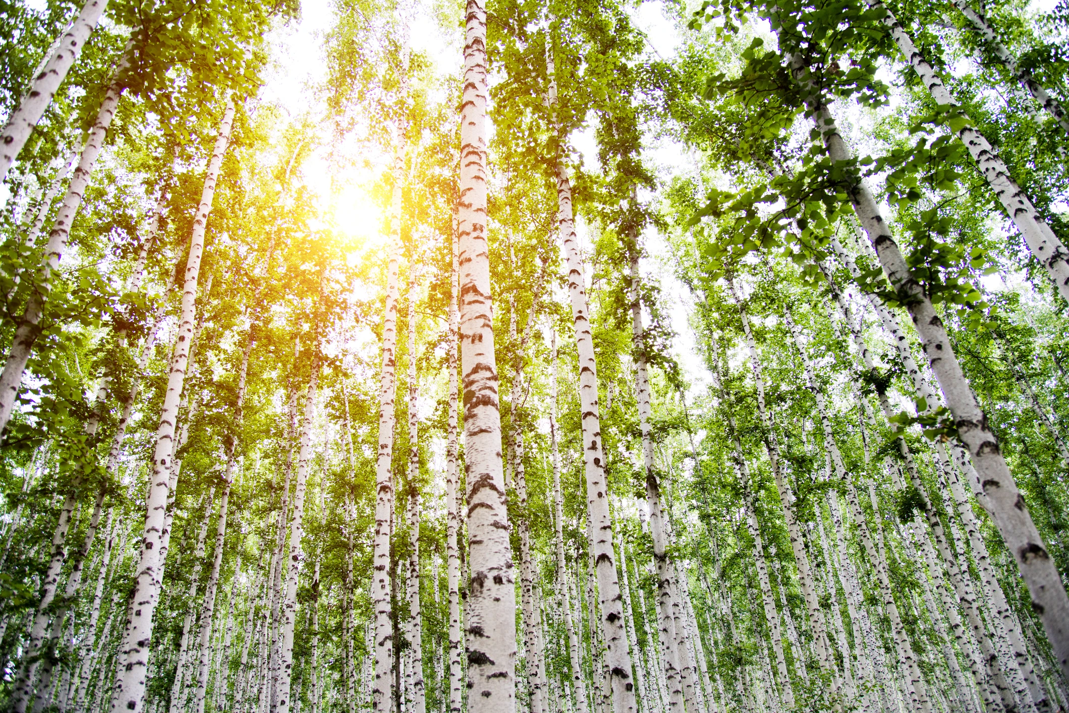 © iStockphoto.com Blurred image background
