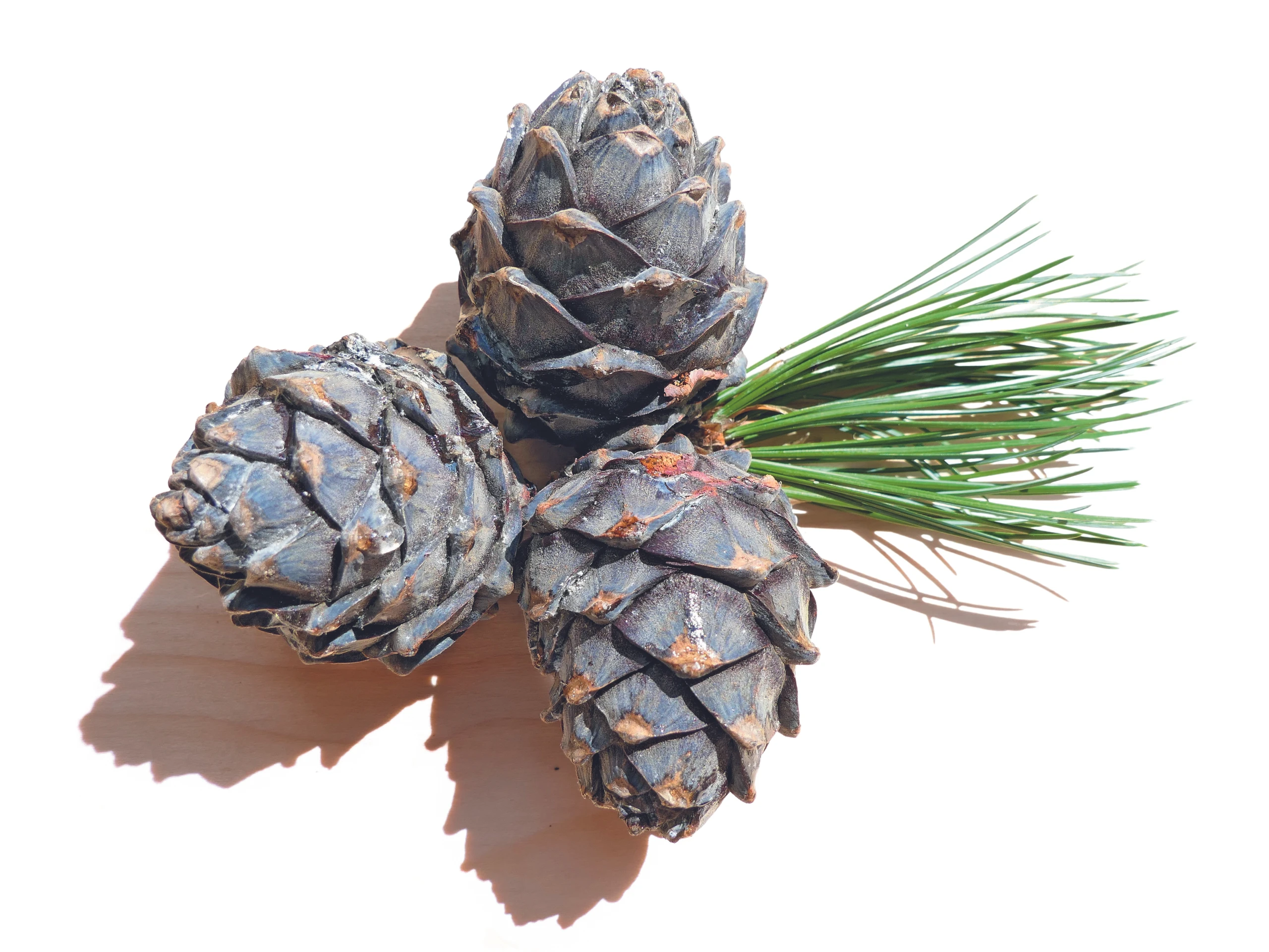 © Shutterstock.com Blurred image background