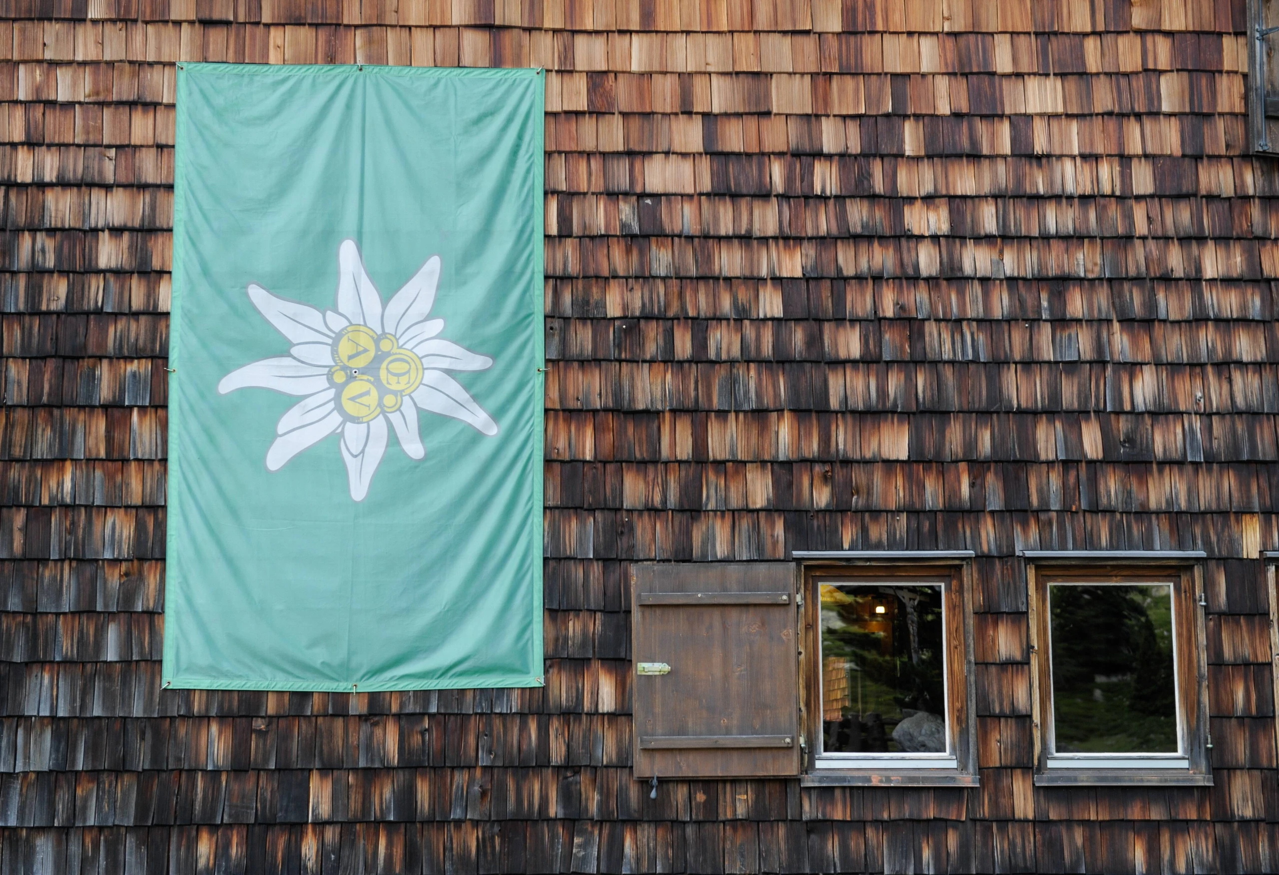 Blurred image background