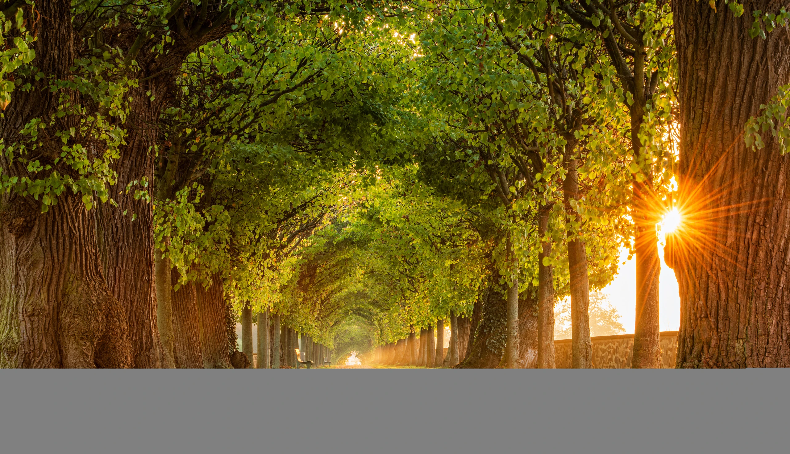 Wie lange lebt ein Mensch im Durchschnitt? 28.800 Tage