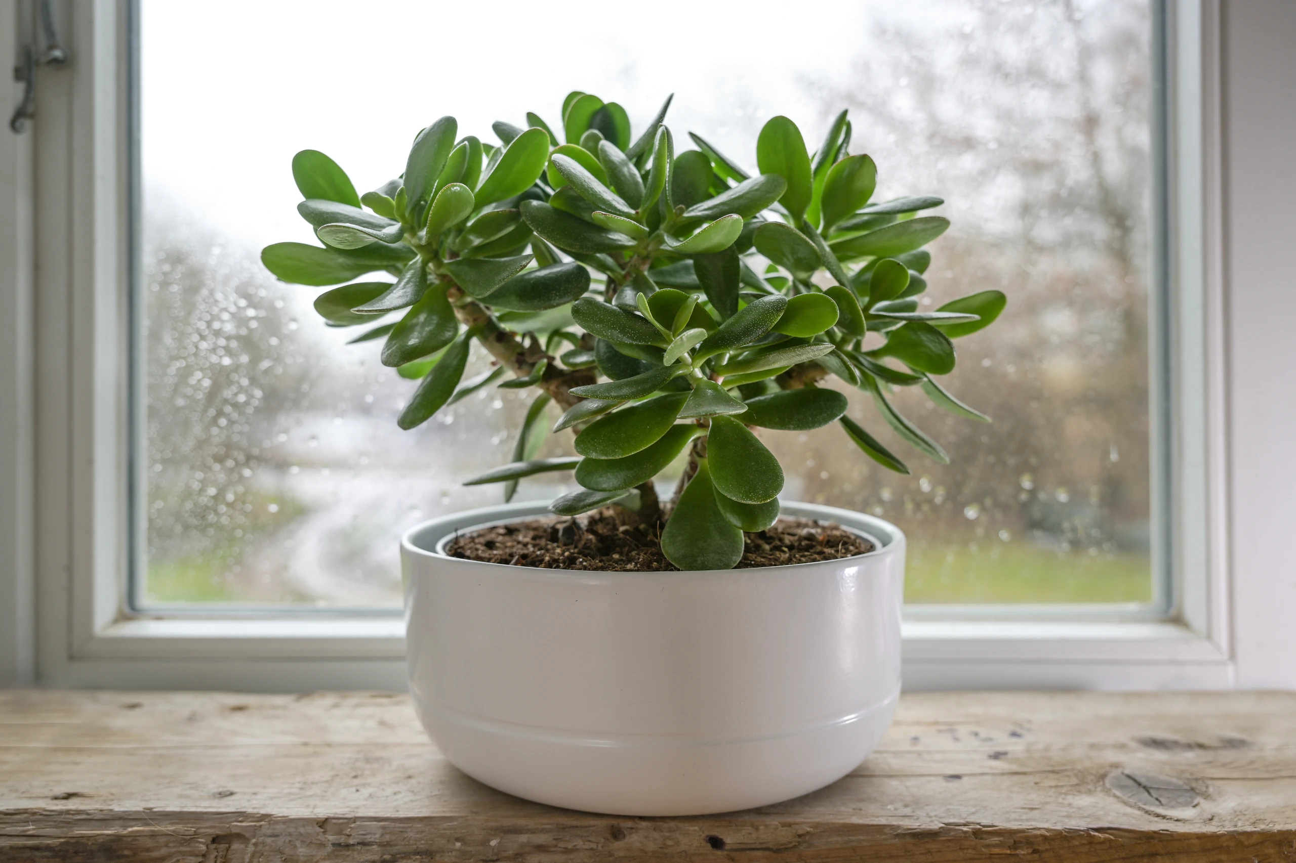 © iStockphoto Blurred image background