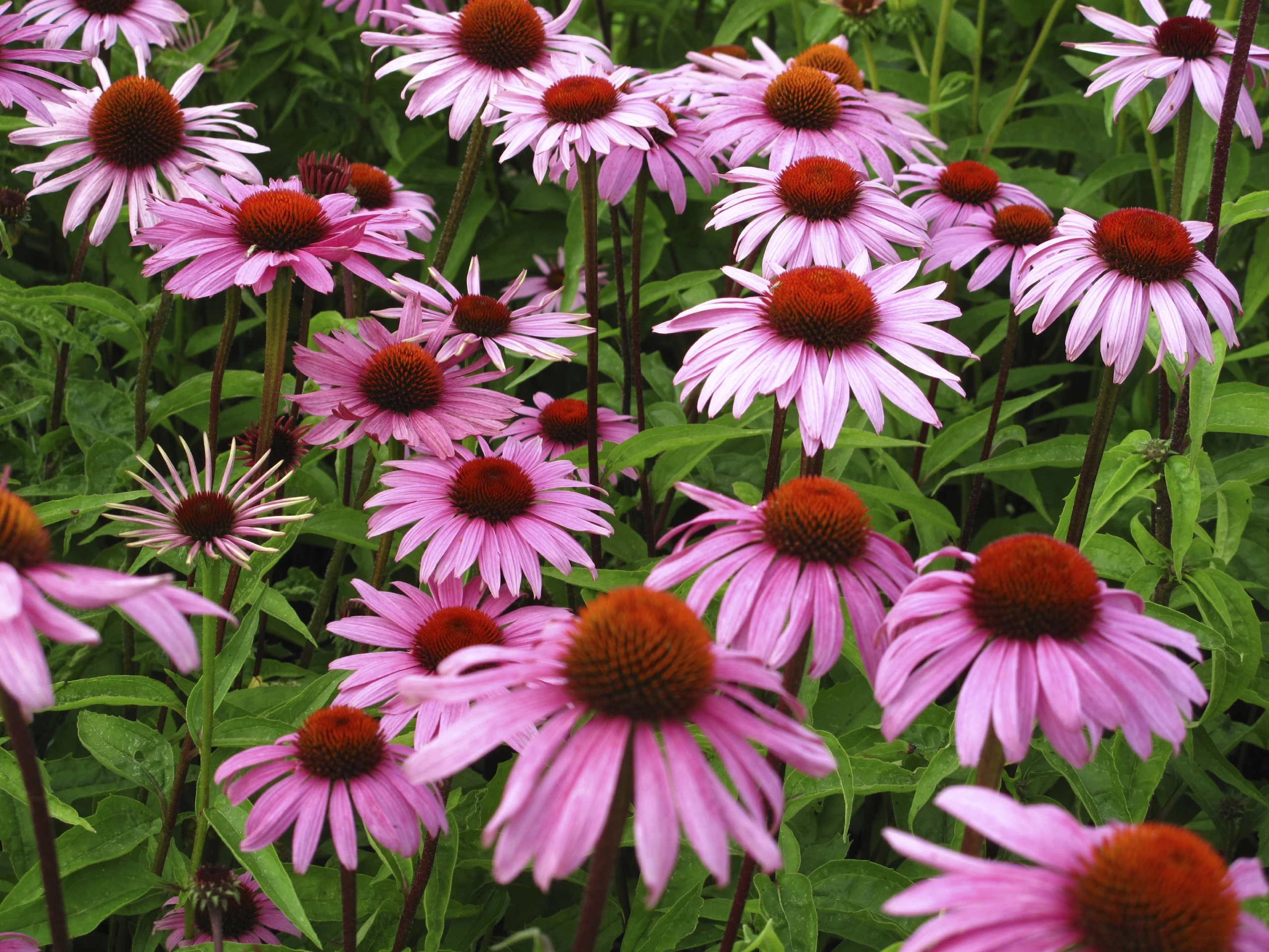© iStockphoto.com Blurred image background