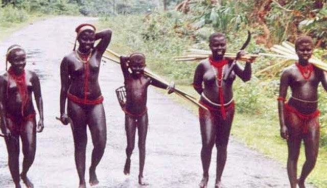 Indien - "Keine Zirkuspferde"