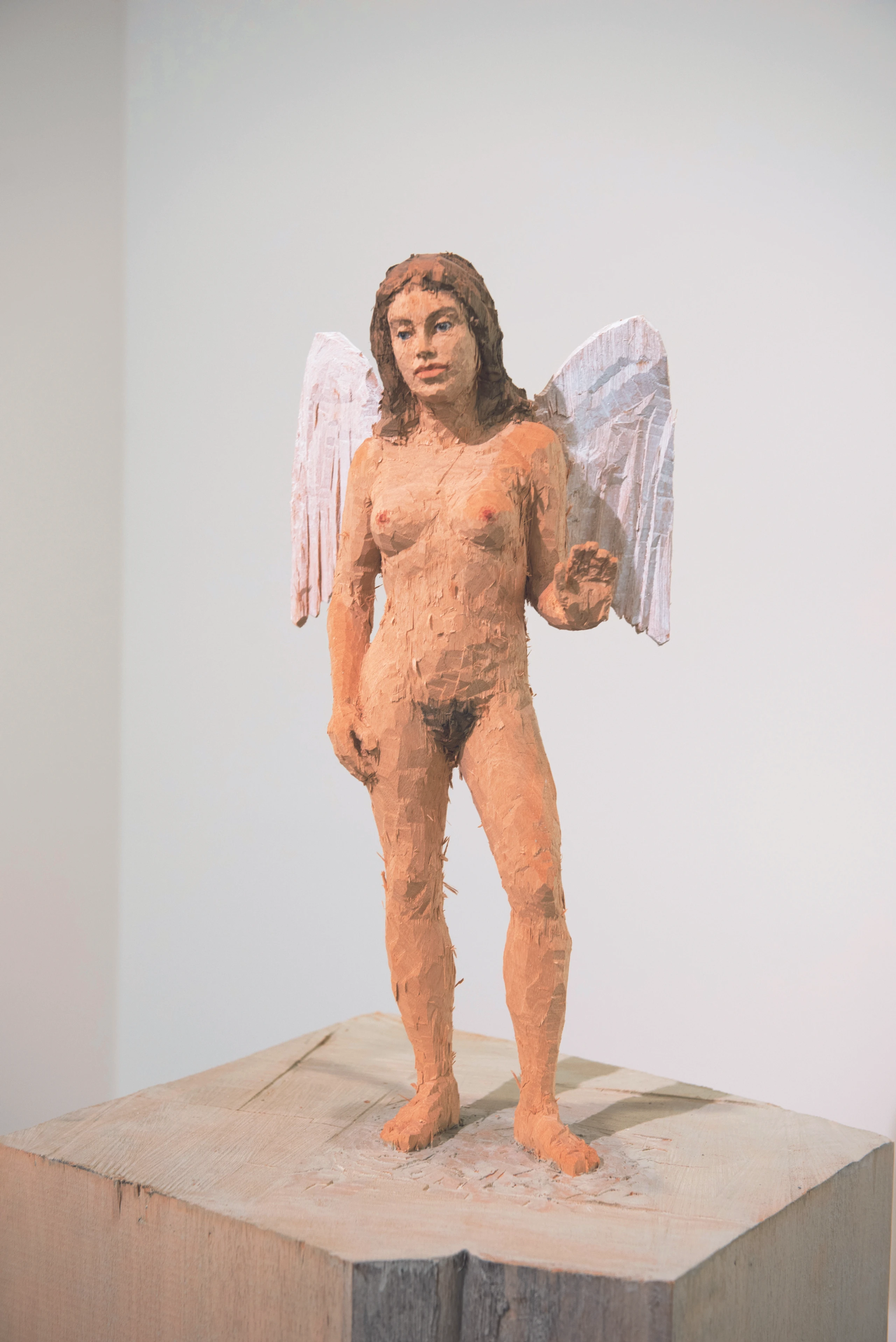 Blurred image background