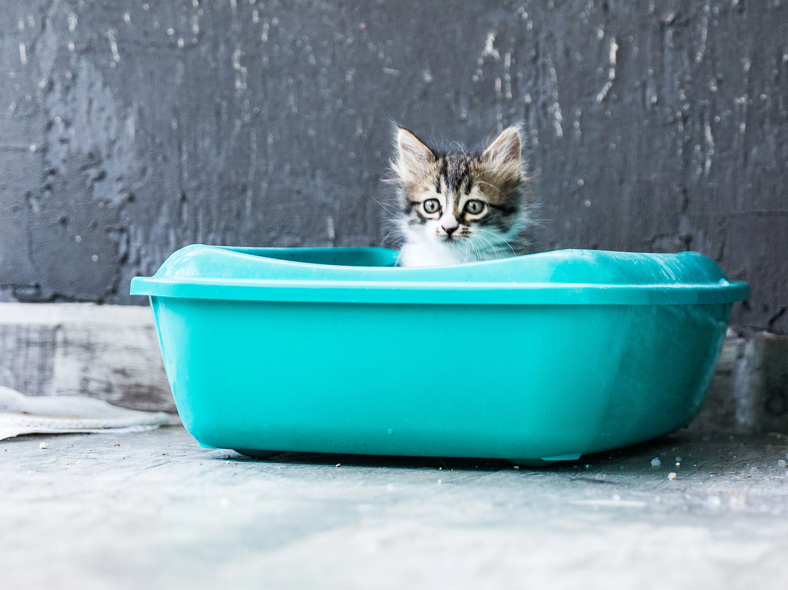 © iStockphoto.com Blurred image background