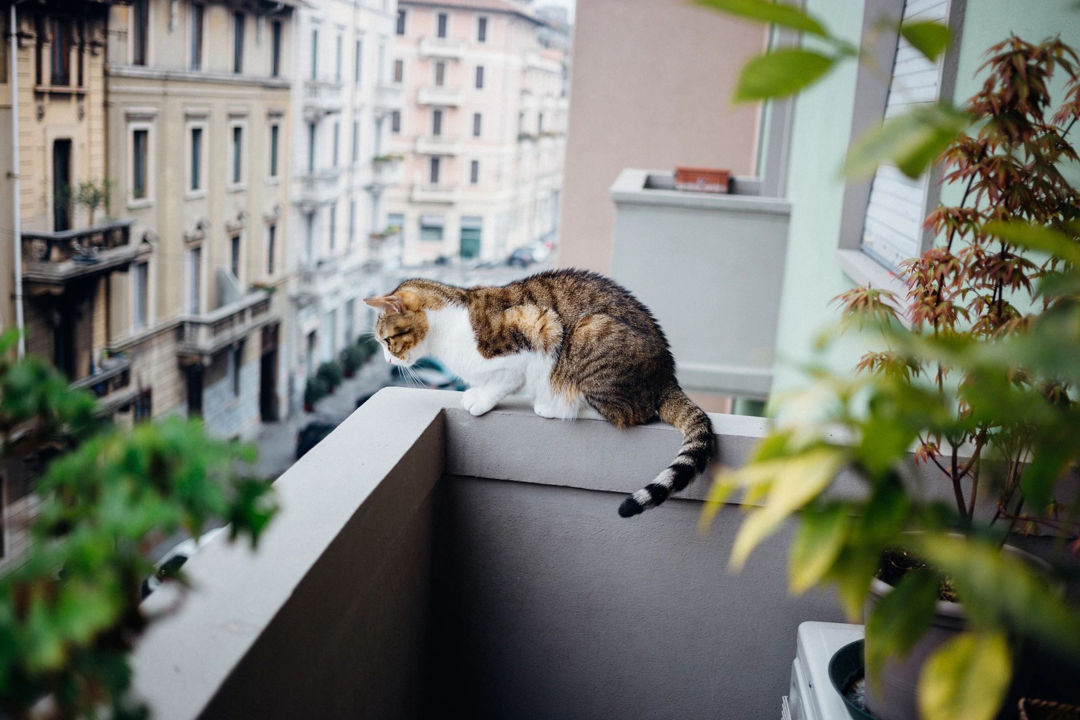 © iStockphoto.com Blurred image background