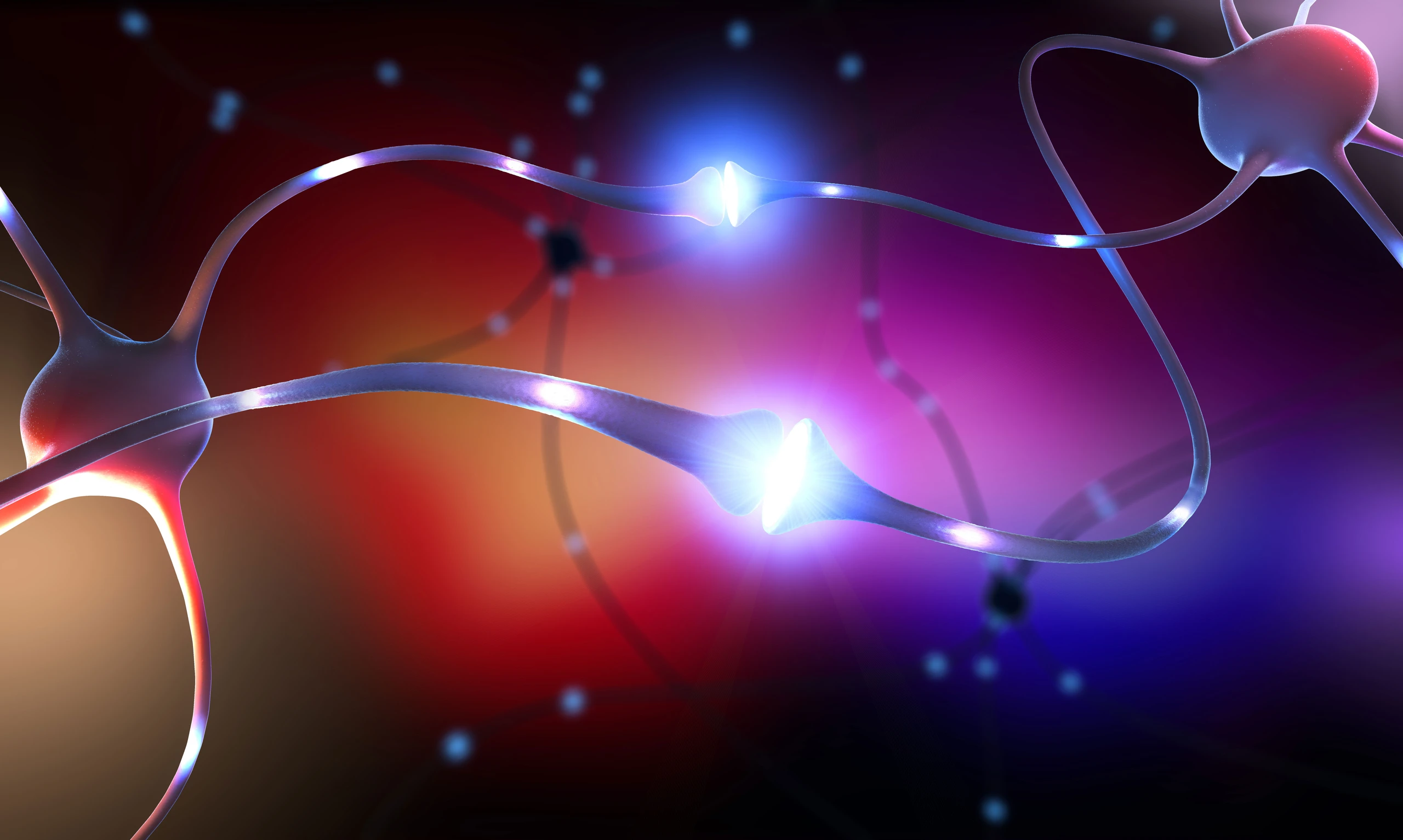 © Shutterstock.com Blurred image background