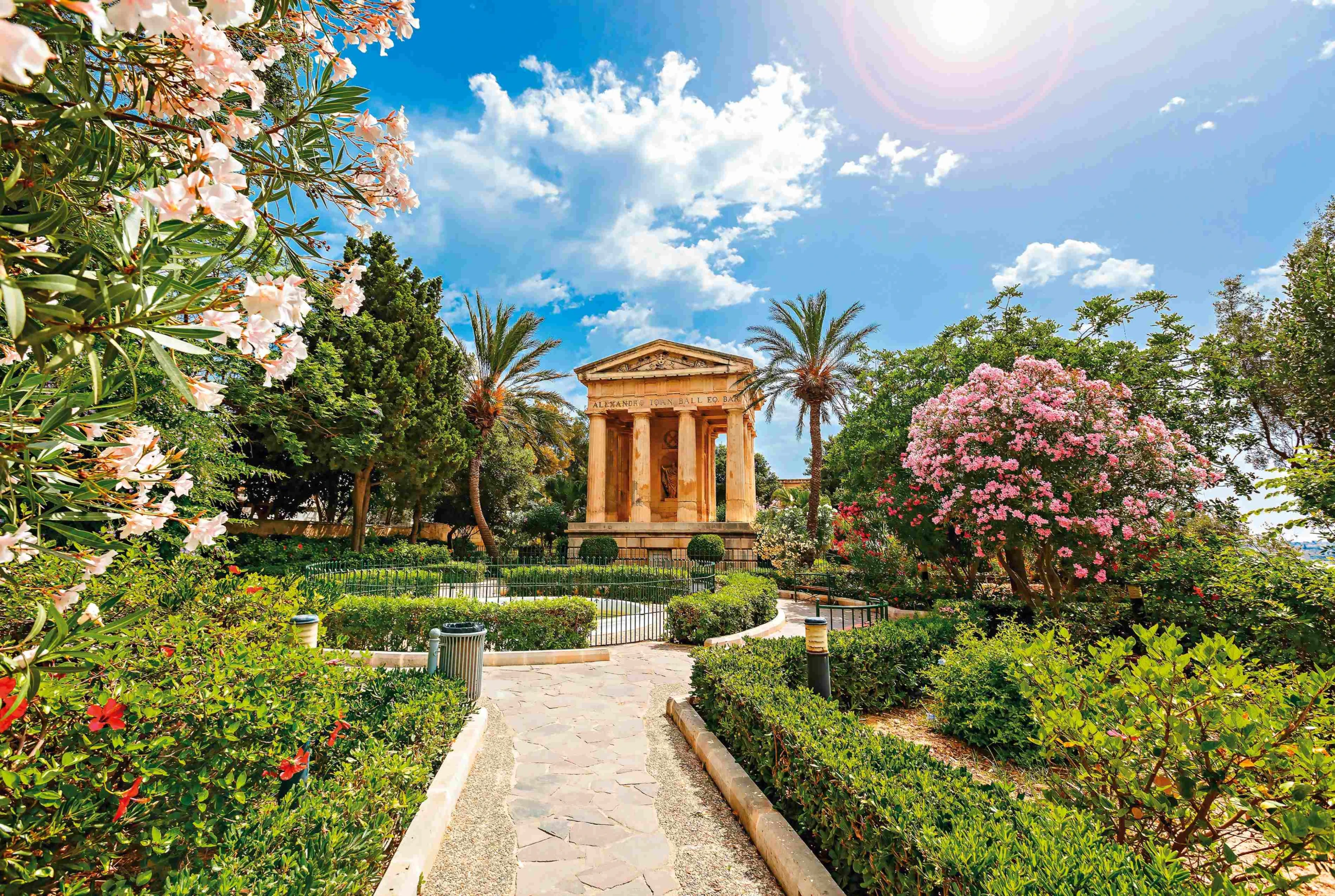 Blurred image background