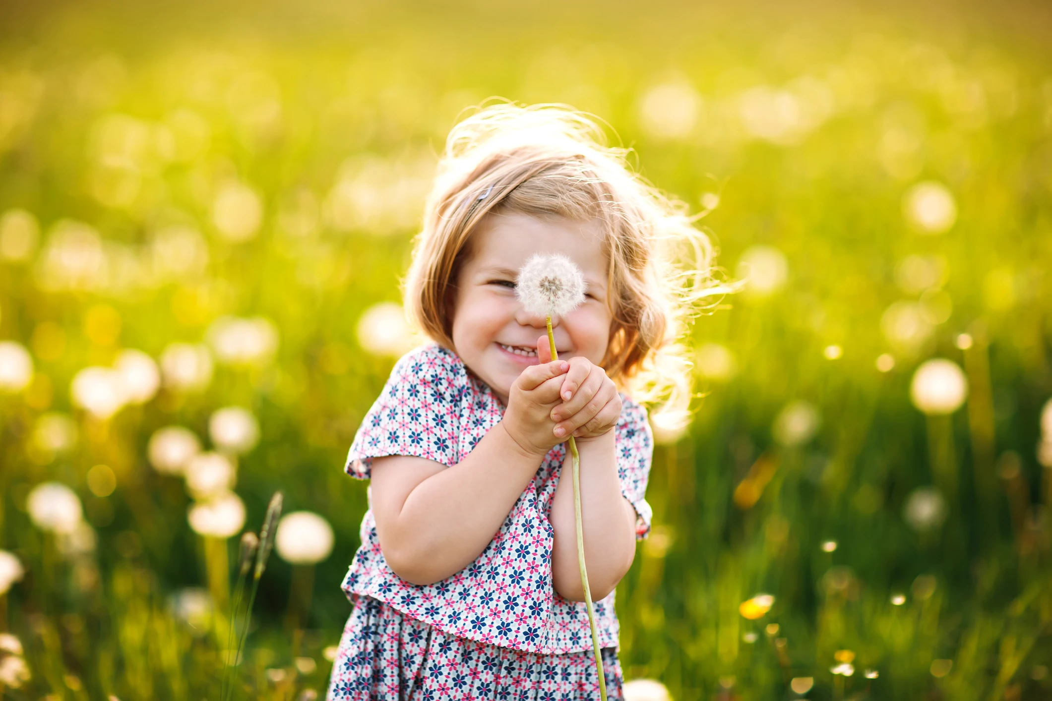 © iStockphoto.com Blurred image background