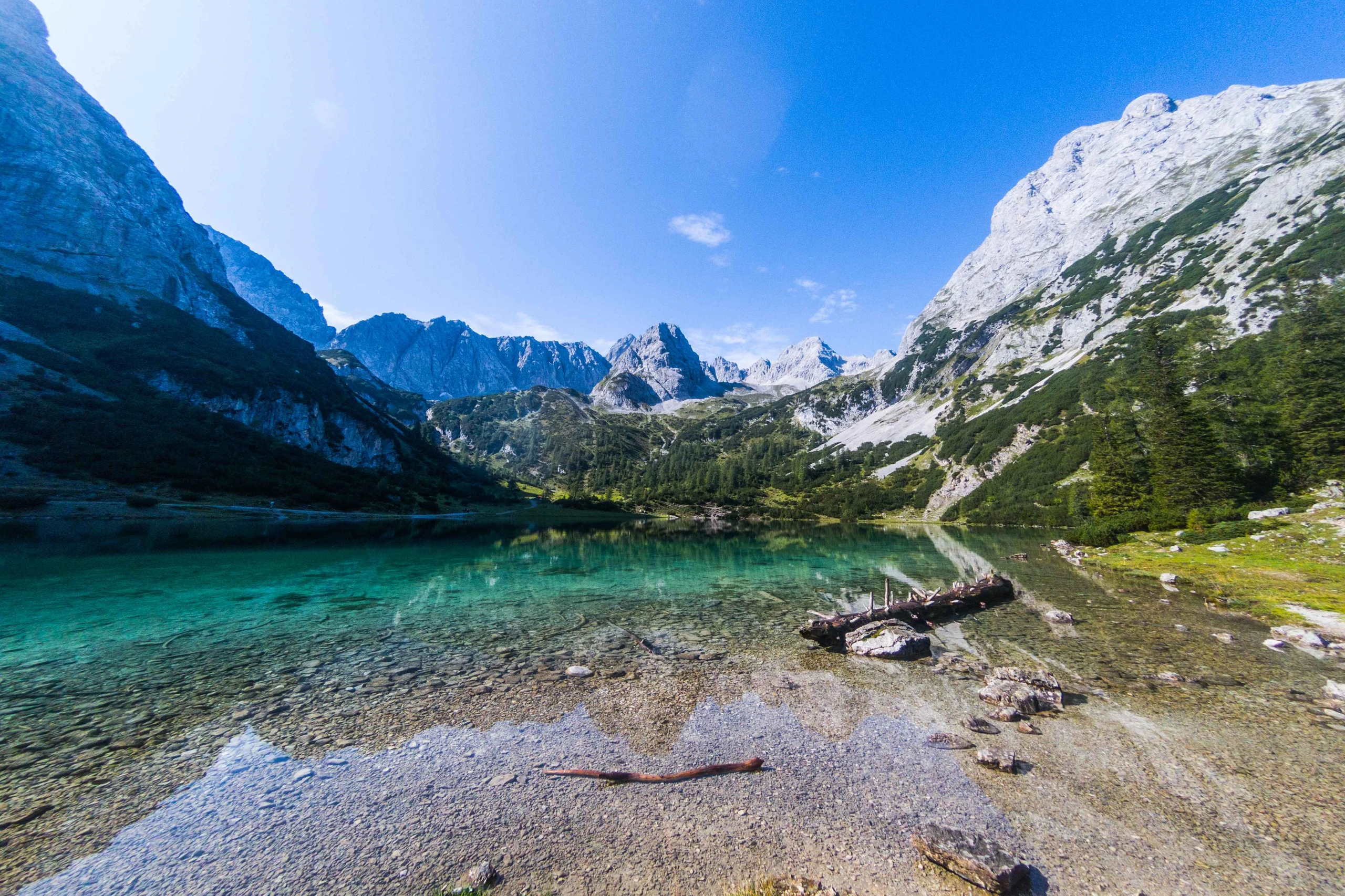 © Shutterstock/Andrew Angelov Blurred image background