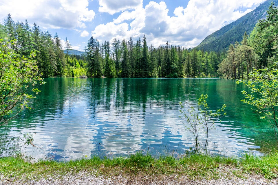 © iStockphoto.com/David Irlweg Blurred image background