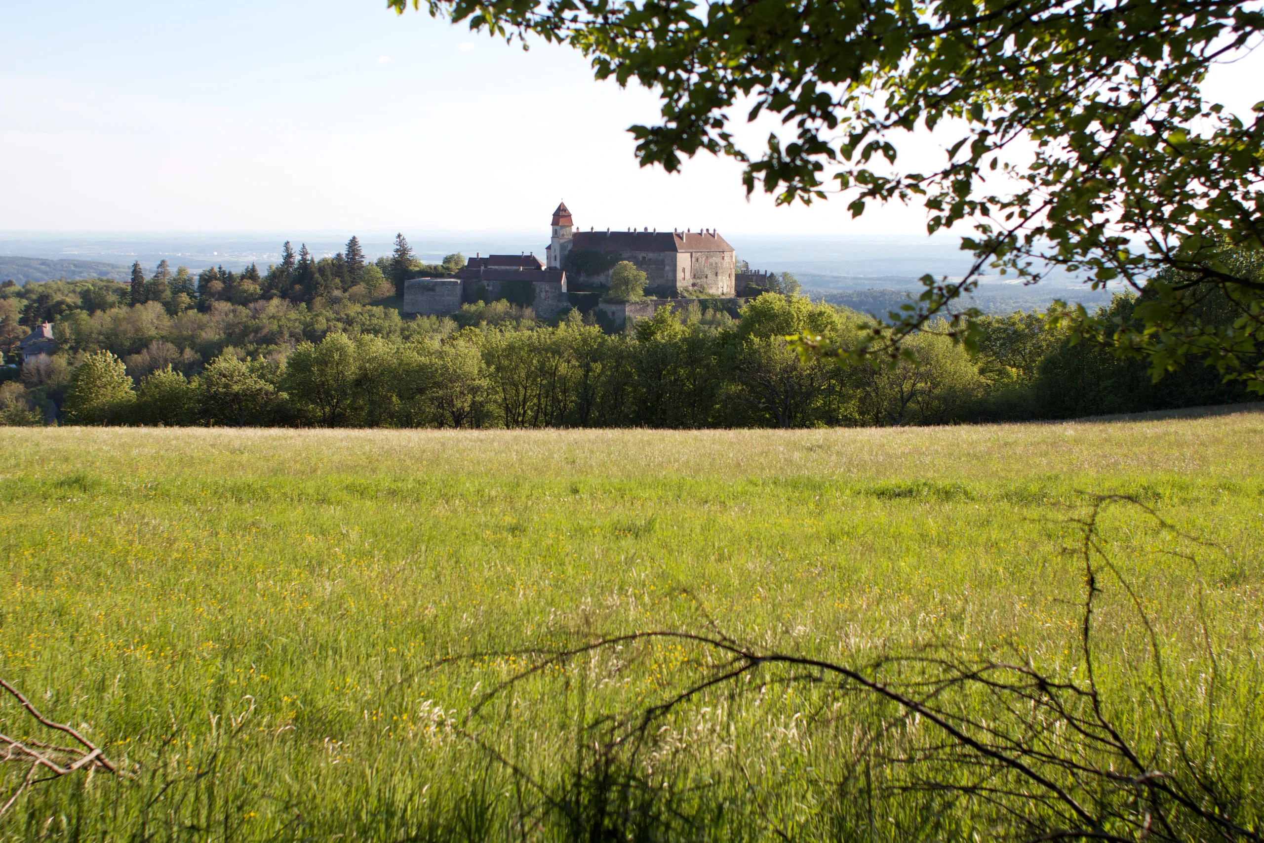 Blurred image background