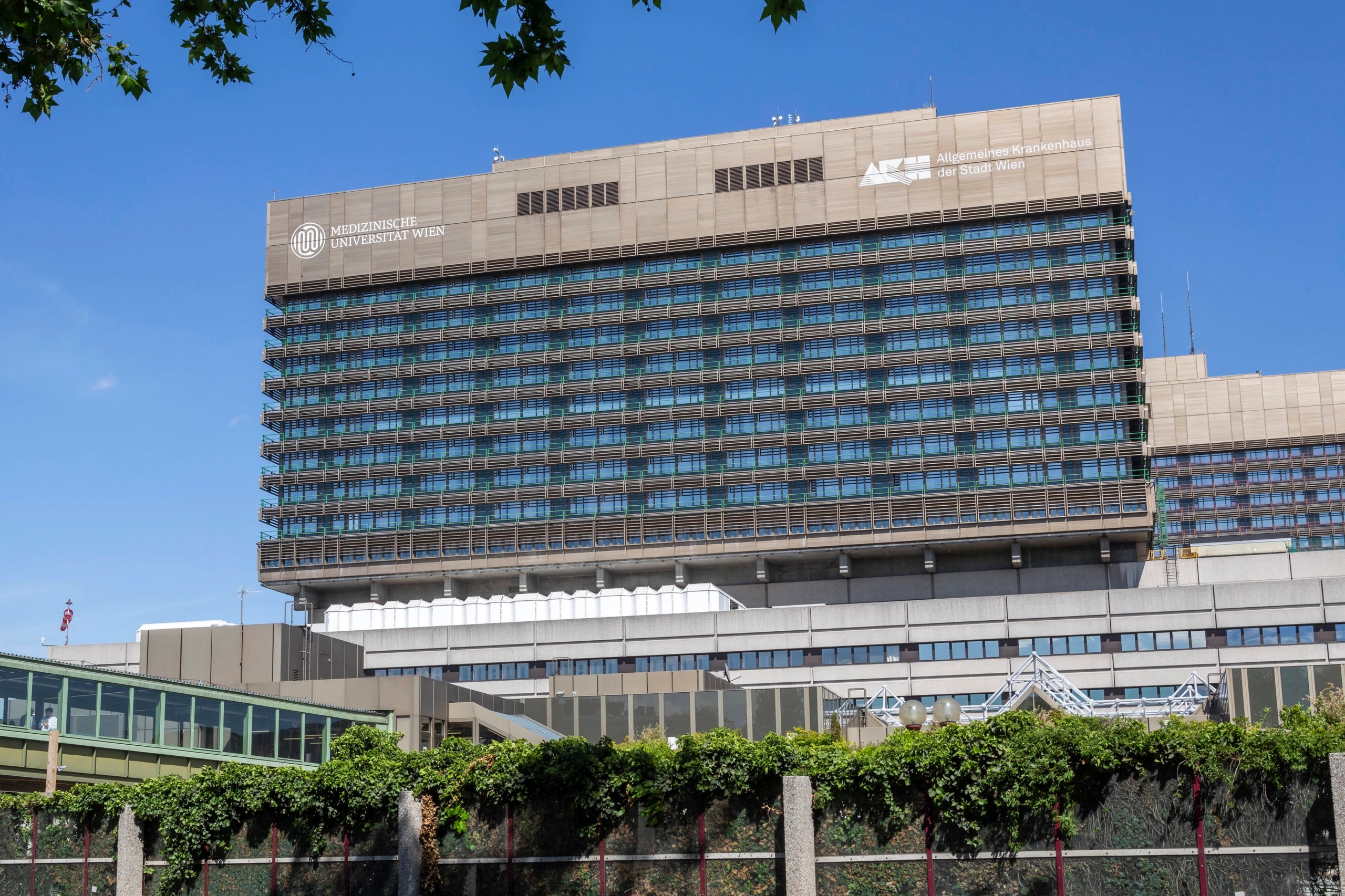 Blurred image background