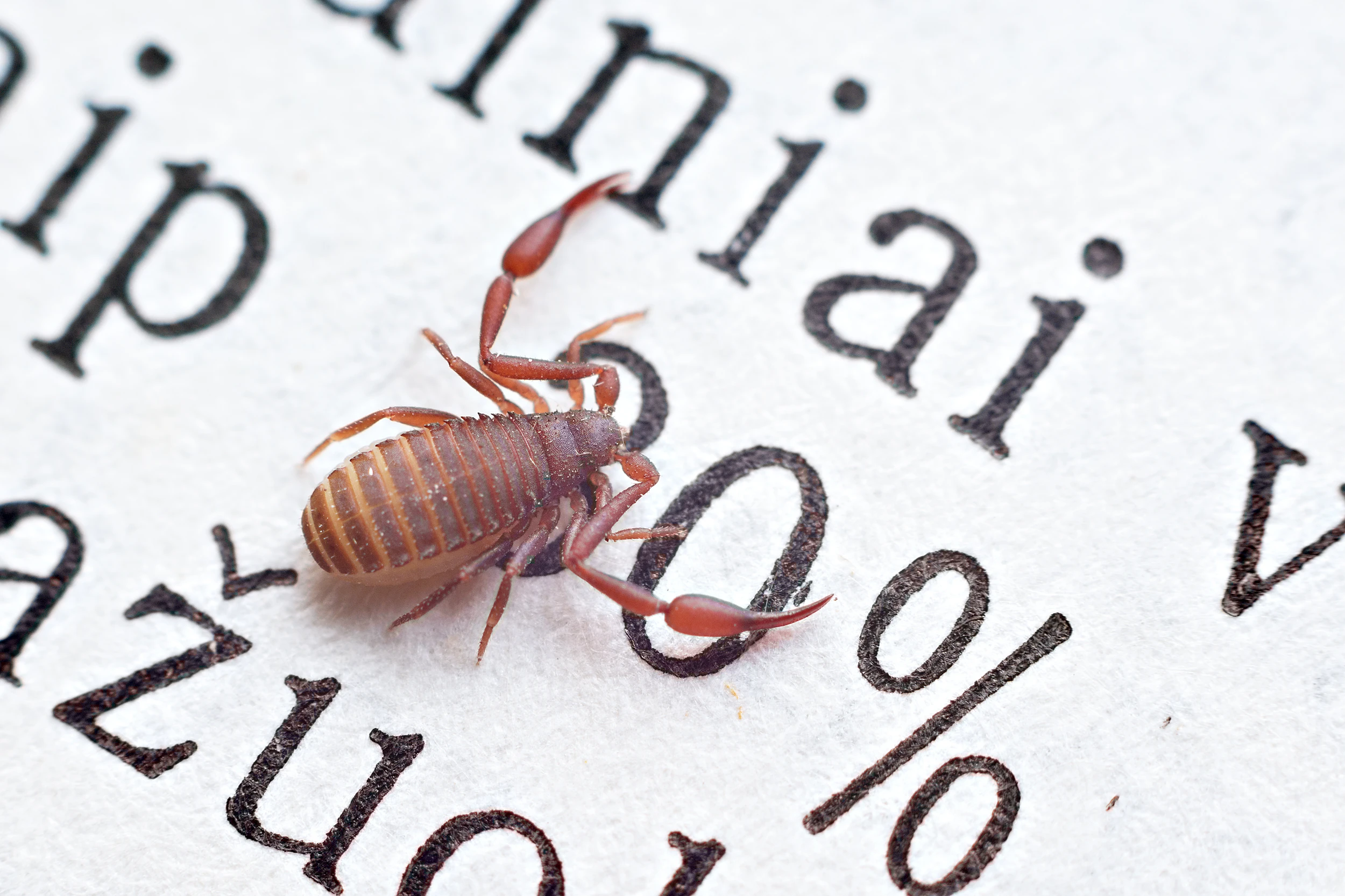 © Shutterstock.com Blurred image background